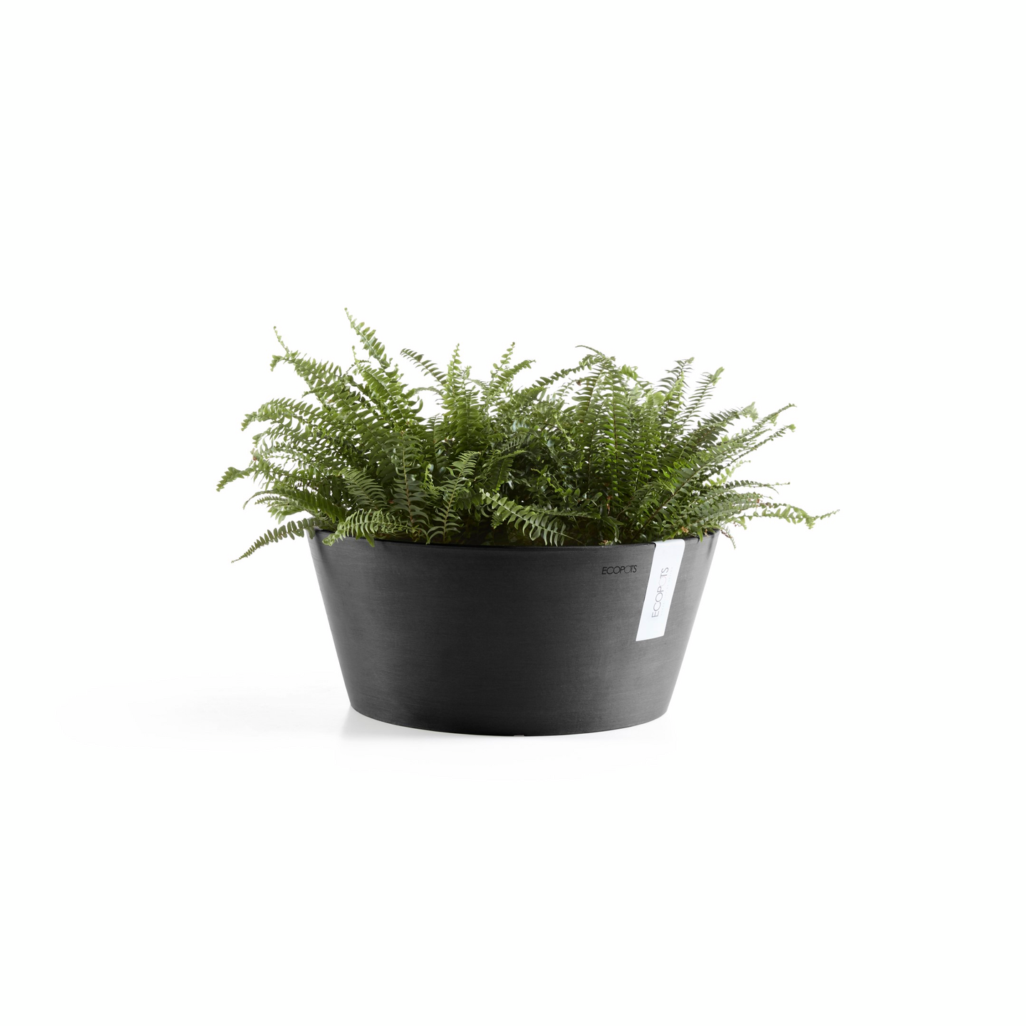 Esillepanotarjotin Ecopots 25cm tummansininen