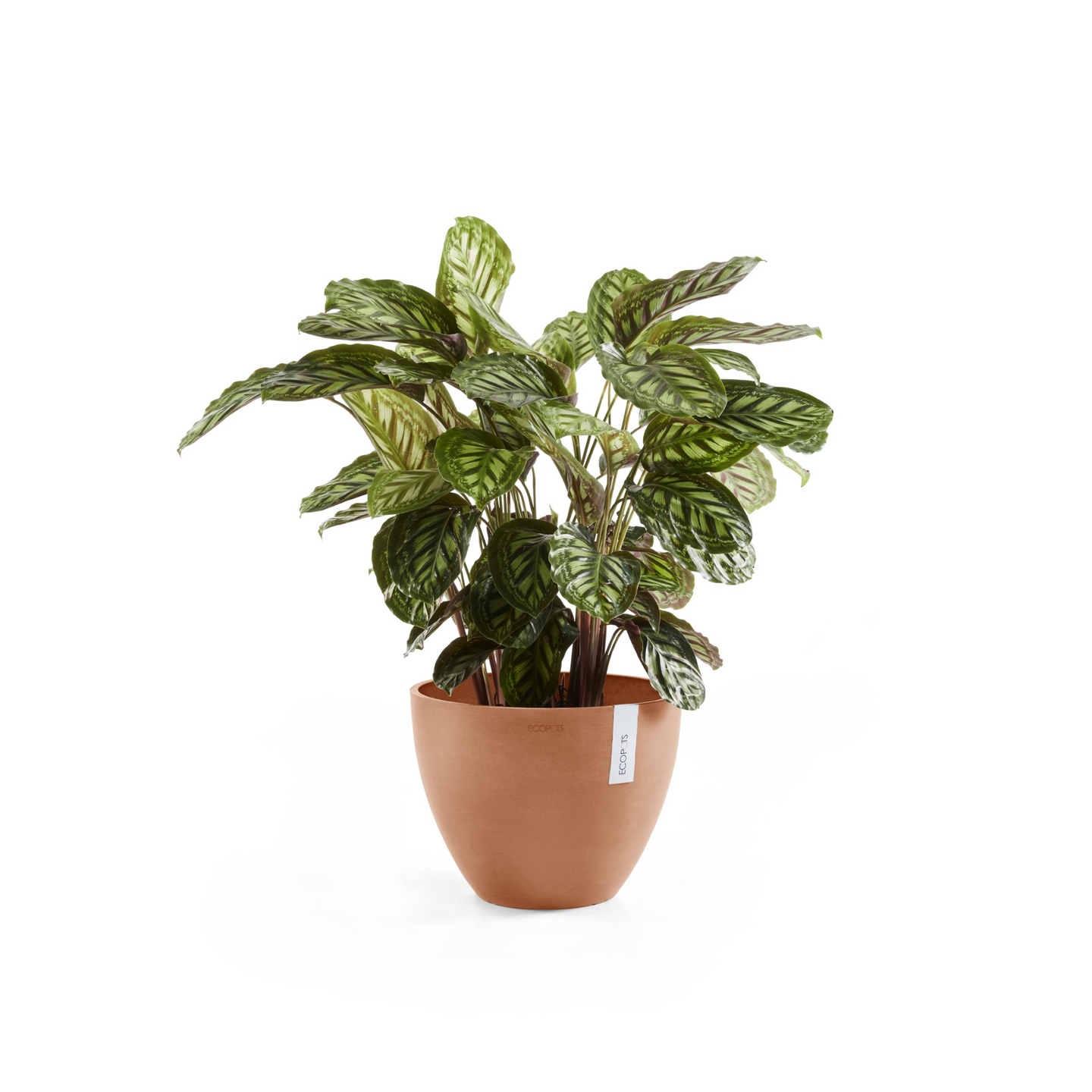 Ruukku Ecopots Antwerpen 30cm terracotta