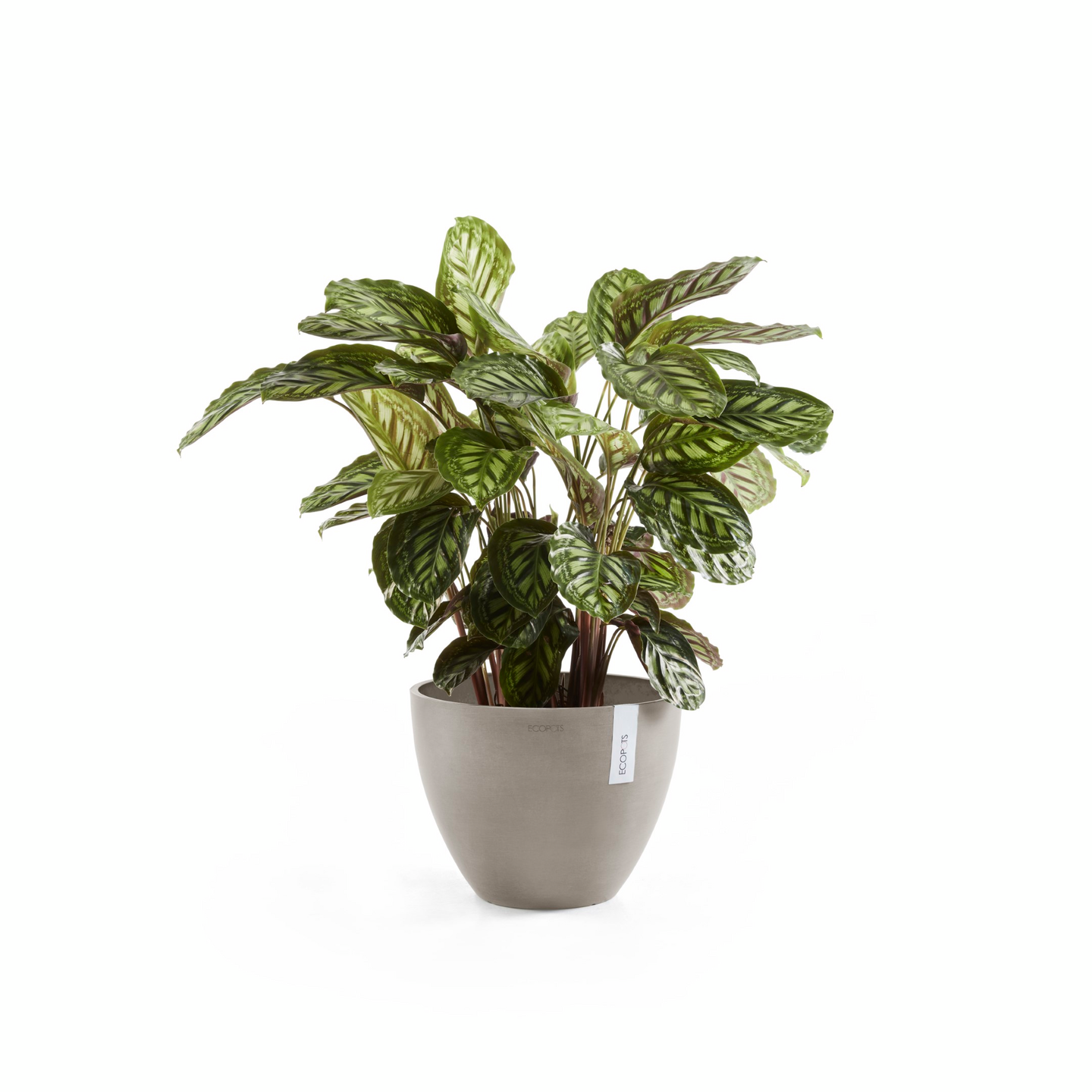 Ruukku Ecopots Antwerpen 30cm taupe