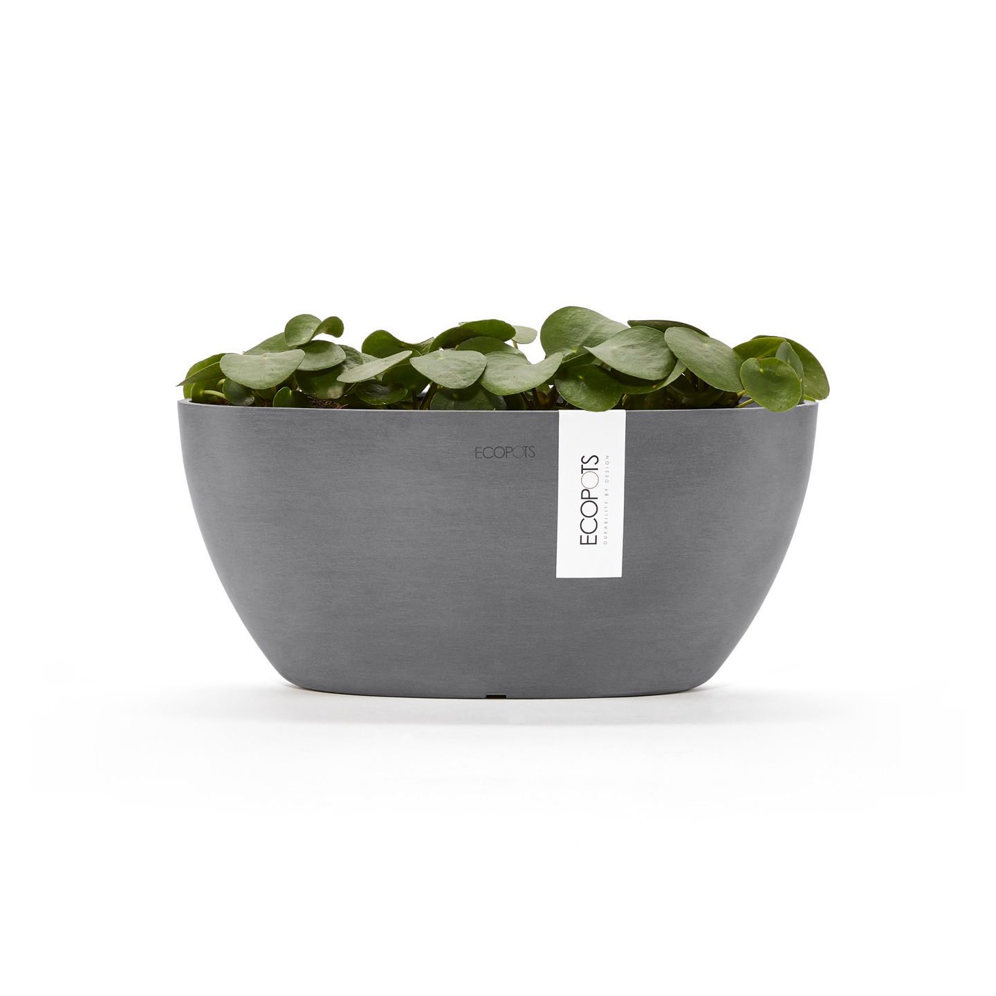 Ruukku Ecopots Sofia 30cm harmaa