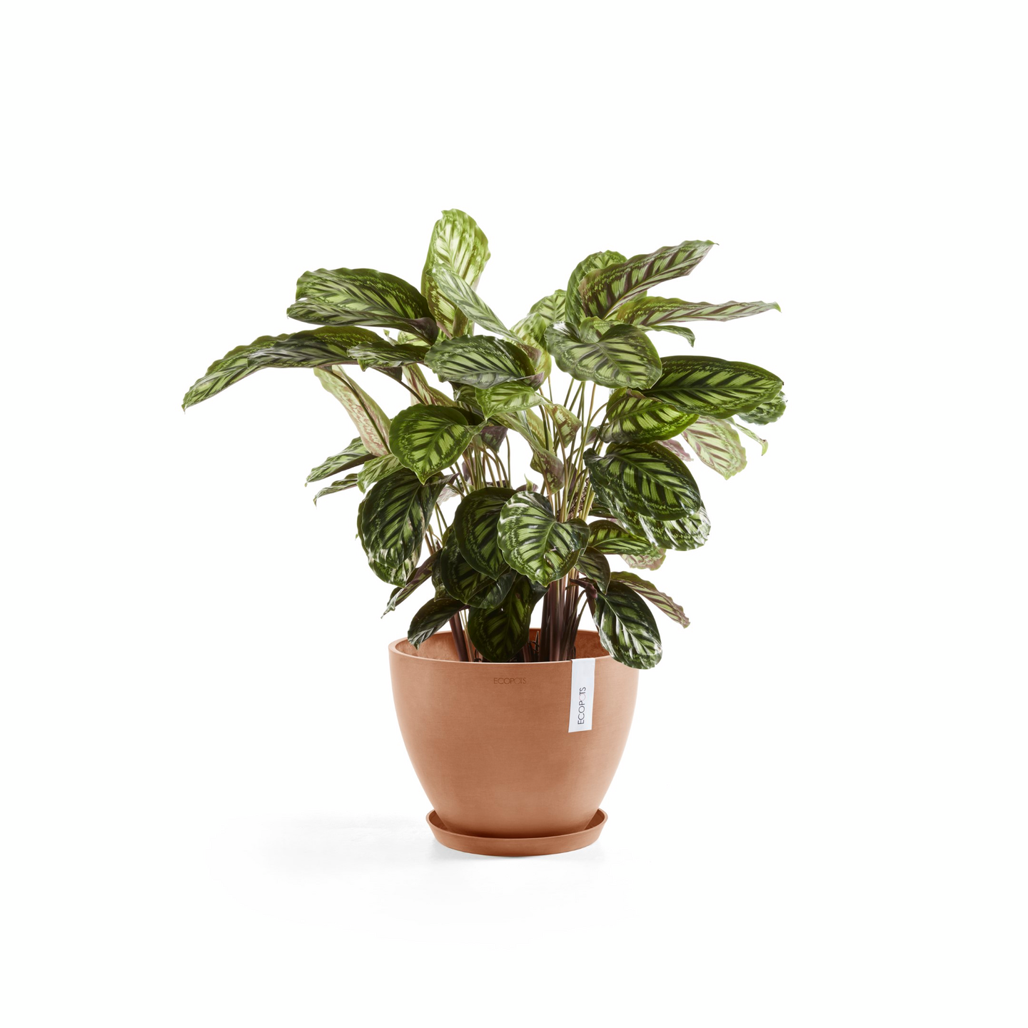 Ruukku Ecopots Antwerpen 30cm terracotta