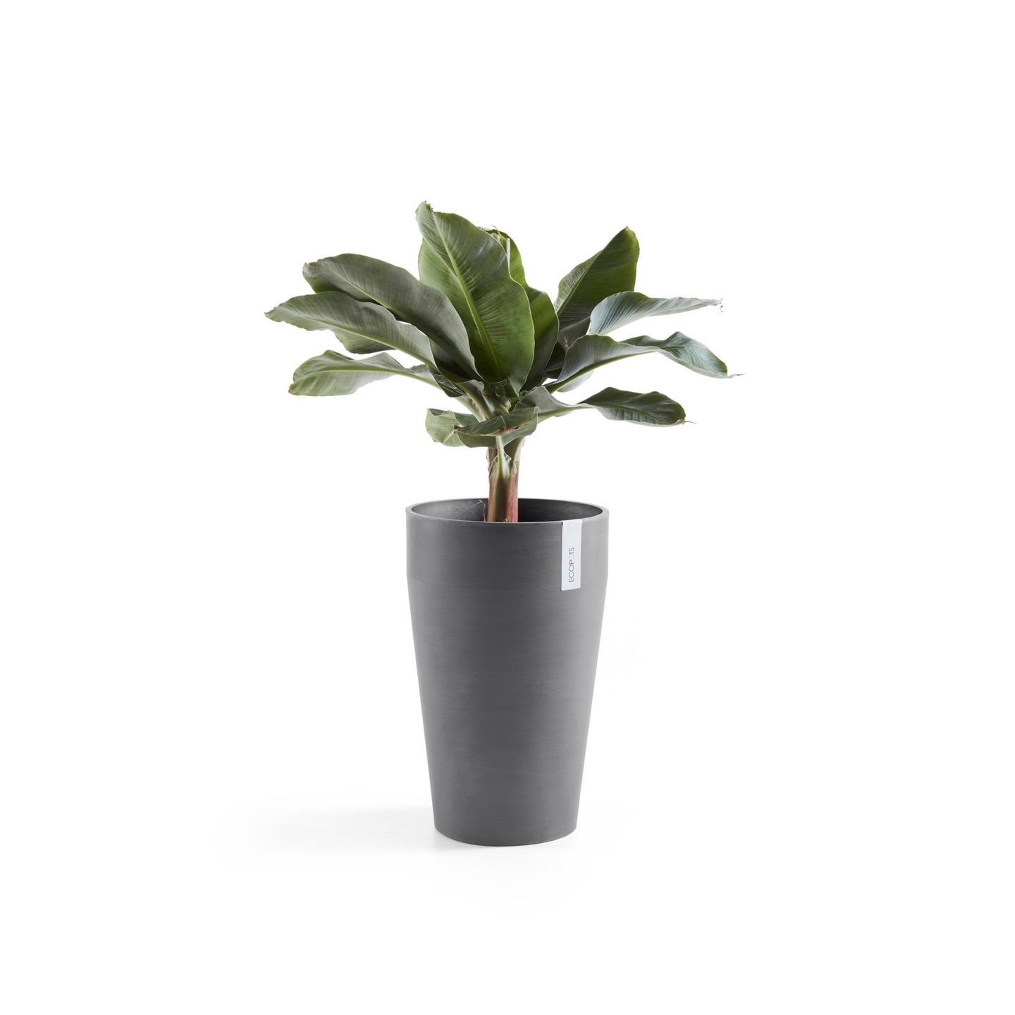 Ruukku Ecopots Sankara keskikorkea 55cm harmaa