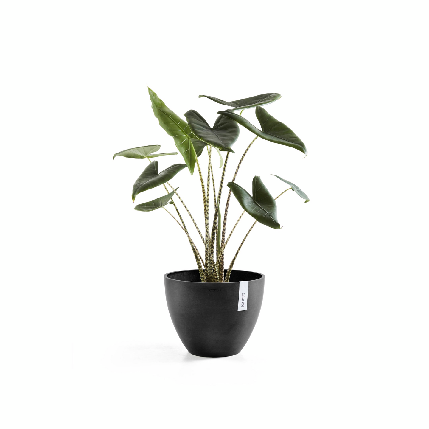 Ruukku Ecopots Antwerpen 40cm tummanharmaa