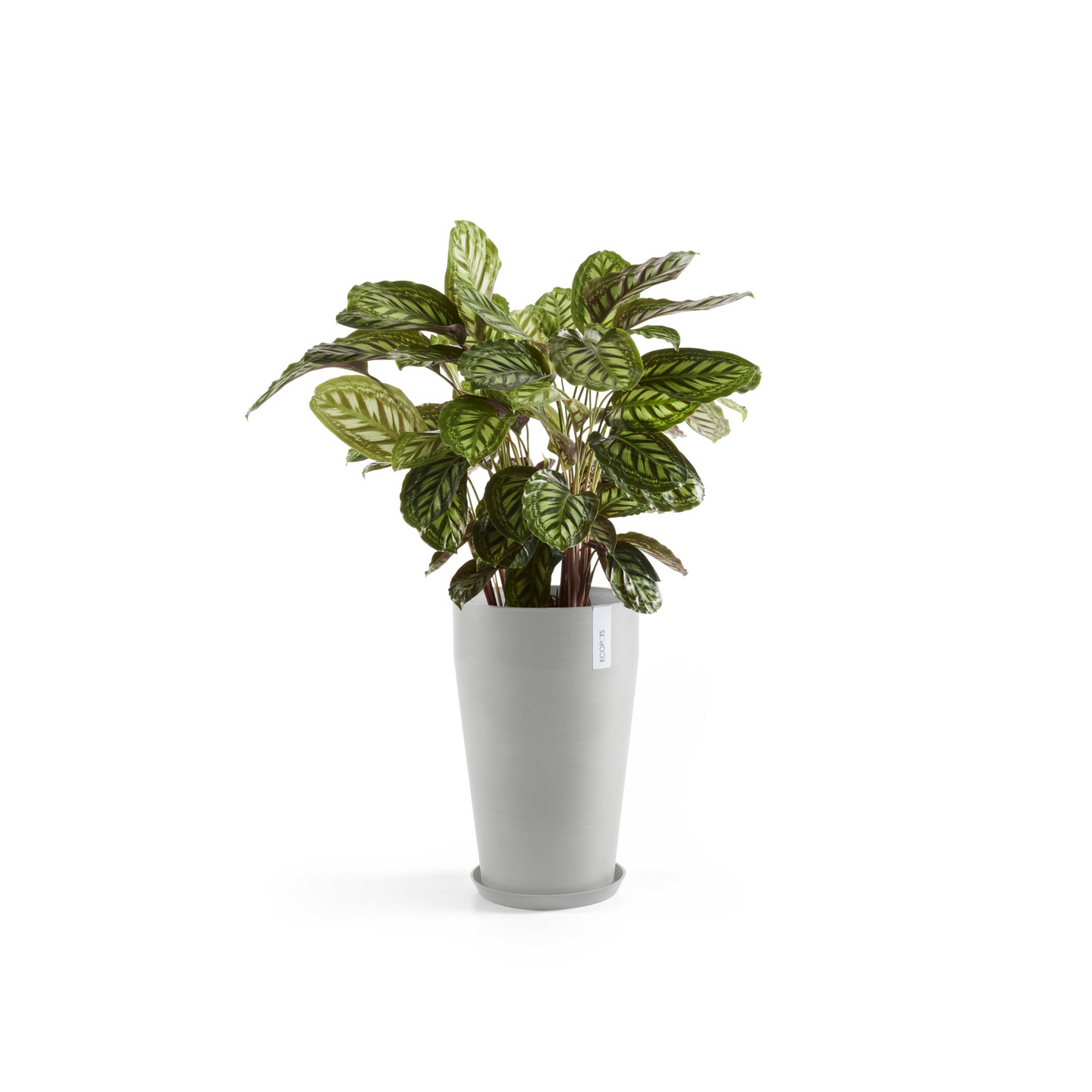 Ruukku Ecopots Sankara keskikorkea 55cm valkoharmaa