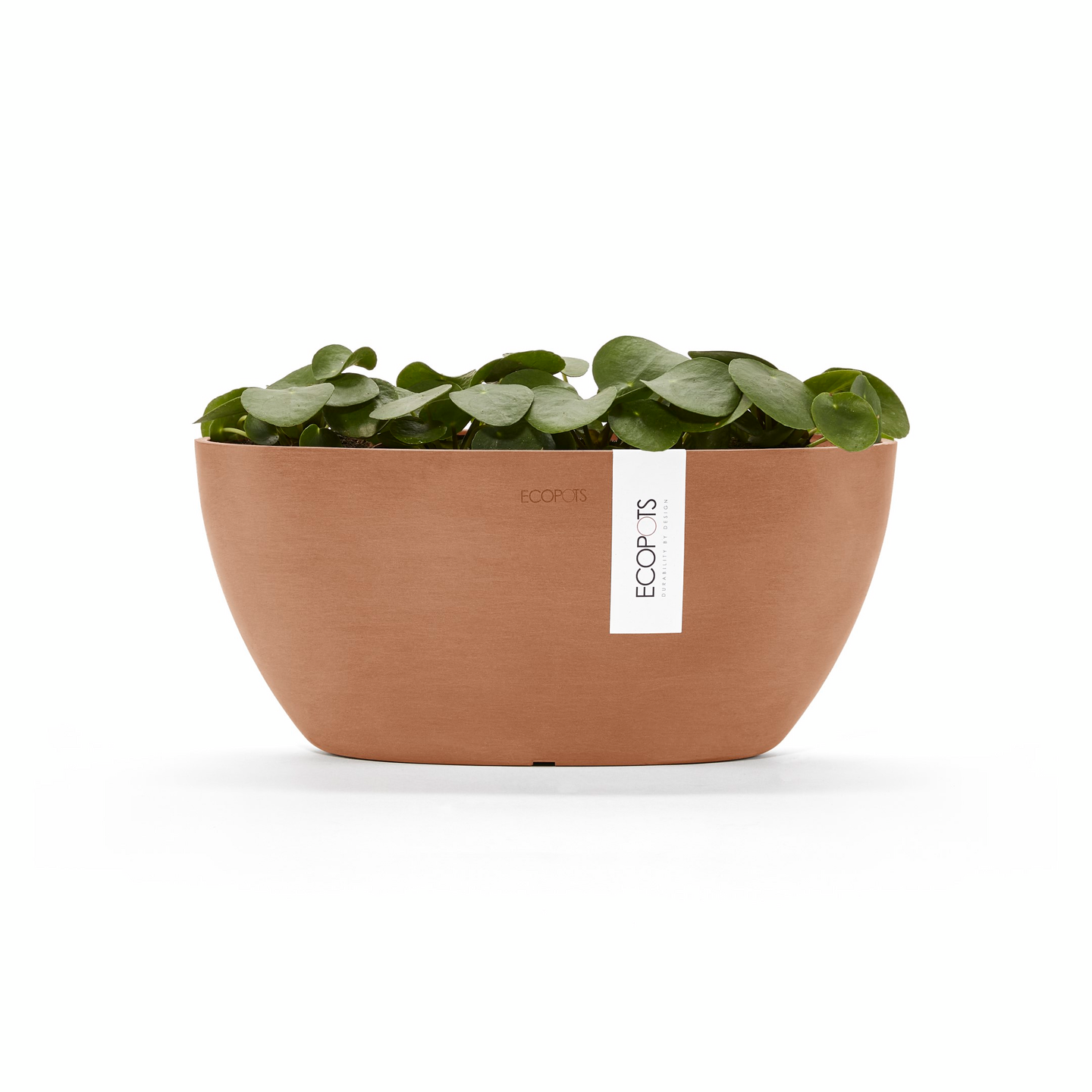 Ruukku Ecopots Sofia 30cm terracotta