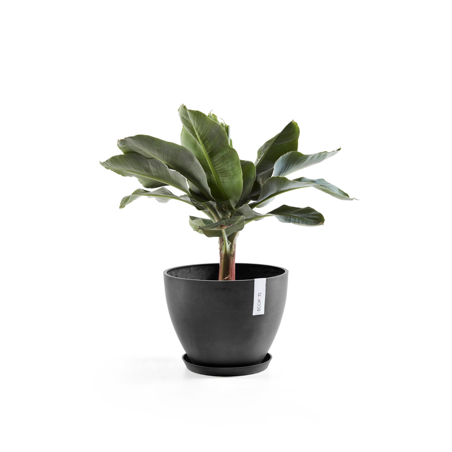Ruukku Ecopots Antwerpen 30cm tummanharmaa