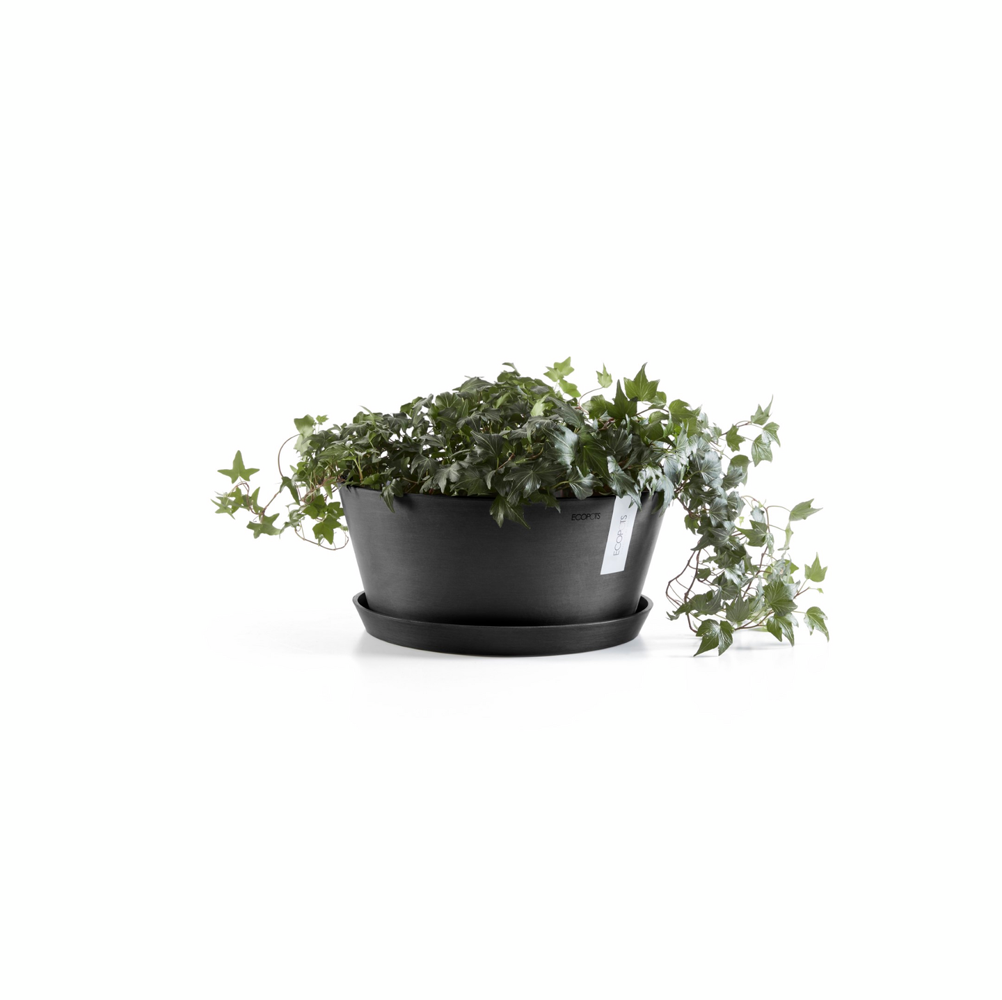 Esillepanotarjotin Ecopots 25cm tummansininen