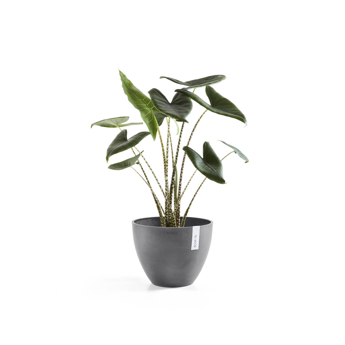 Ruukku Ecopots Antwerpen 40cm harmaa