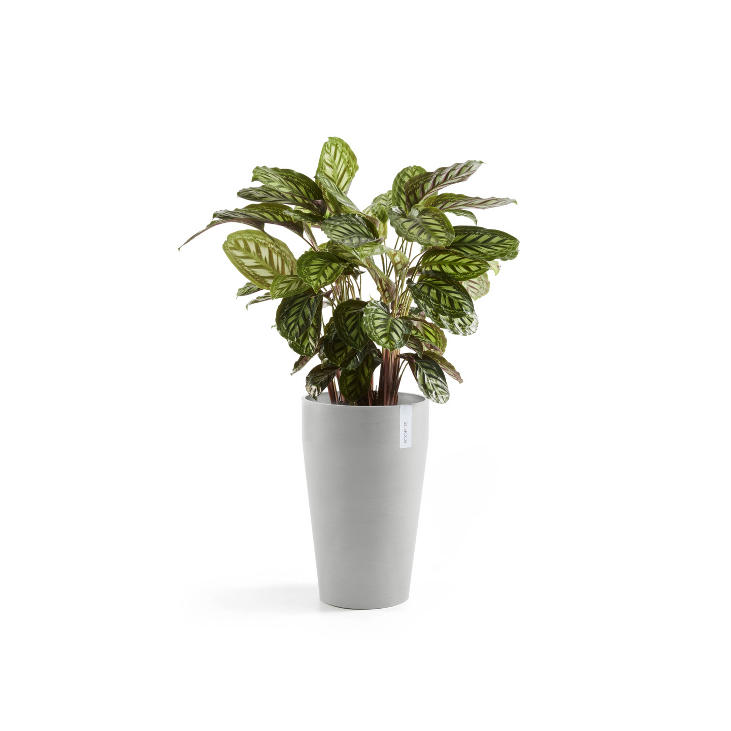 Ruukku Ecopots Sankara keskikorkea 55cm valkoharmaa