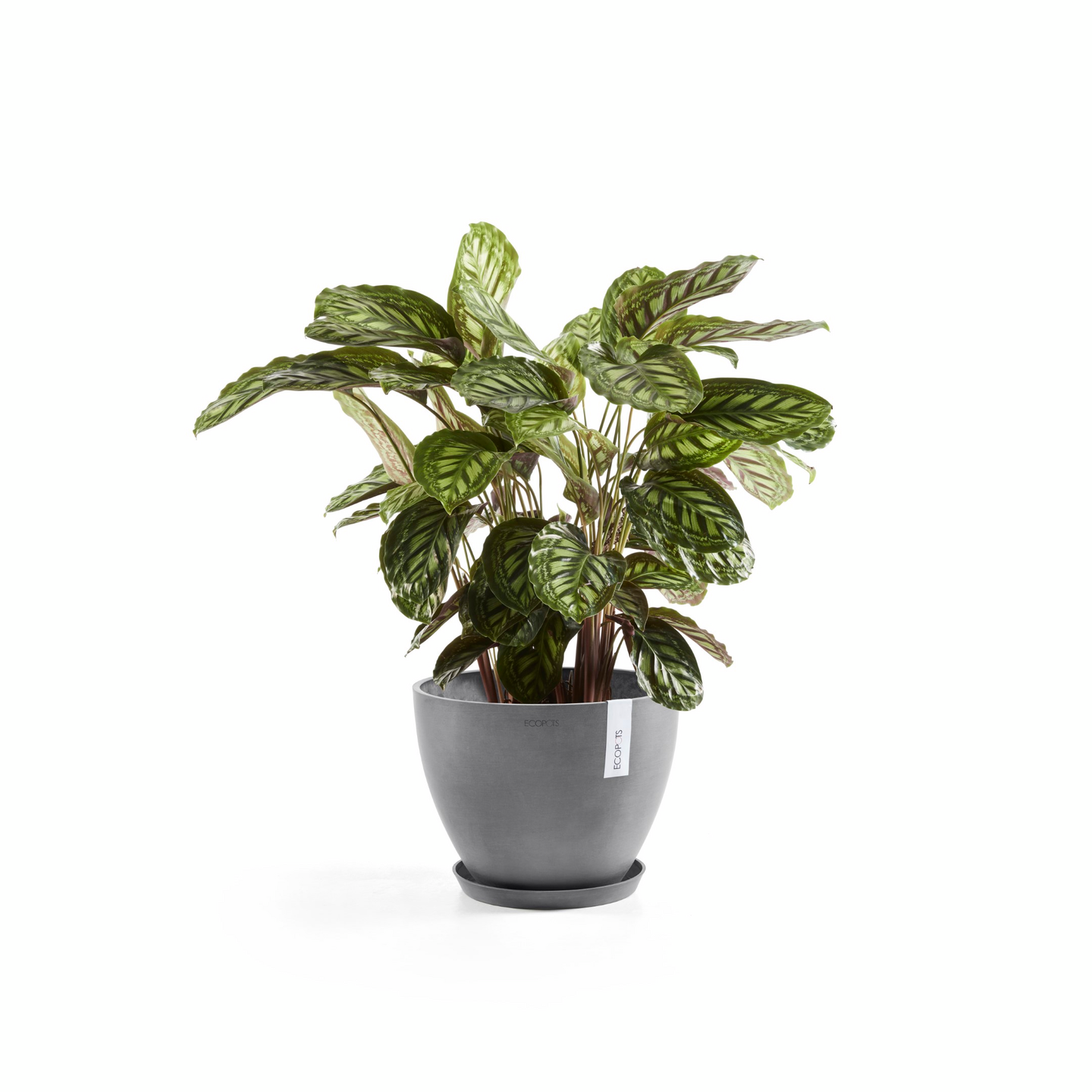 Ruukku Ecopots Antwerpen 30cm harmaa