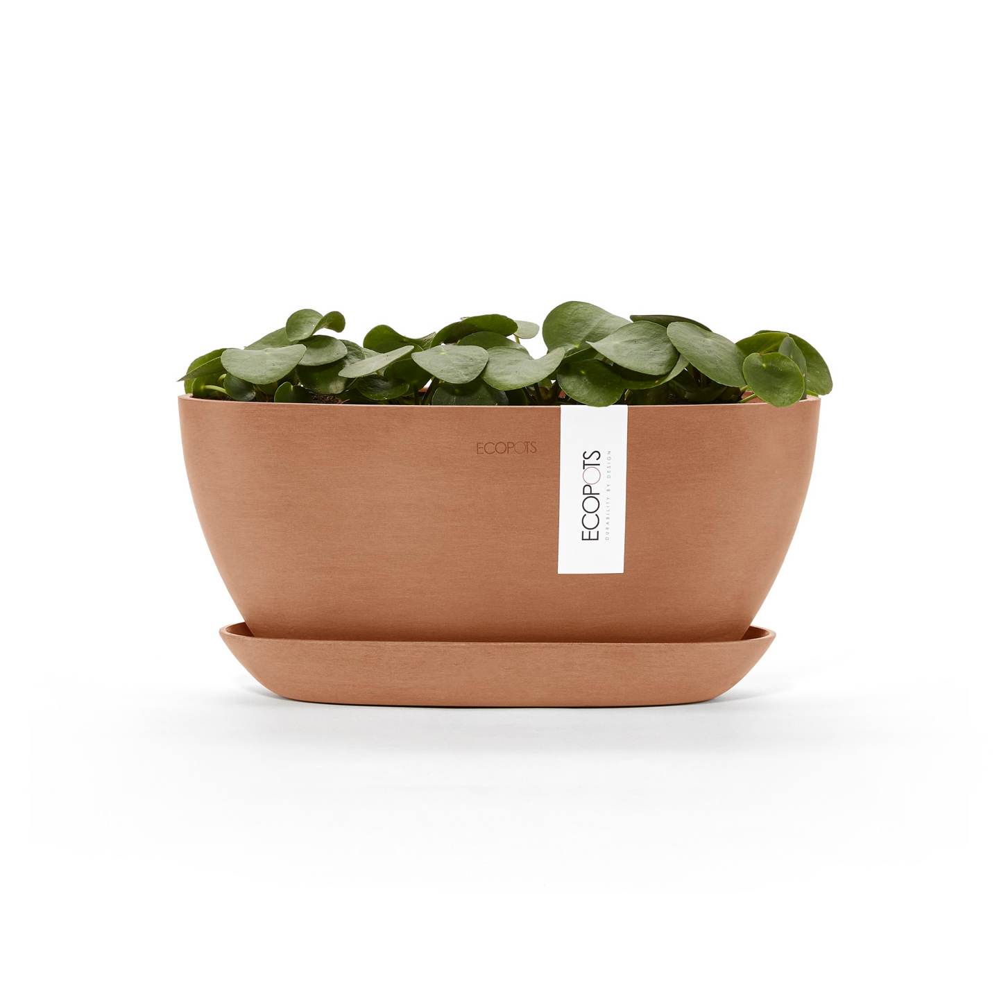 Ruukku Ecopots Sofia 30cm terracotta