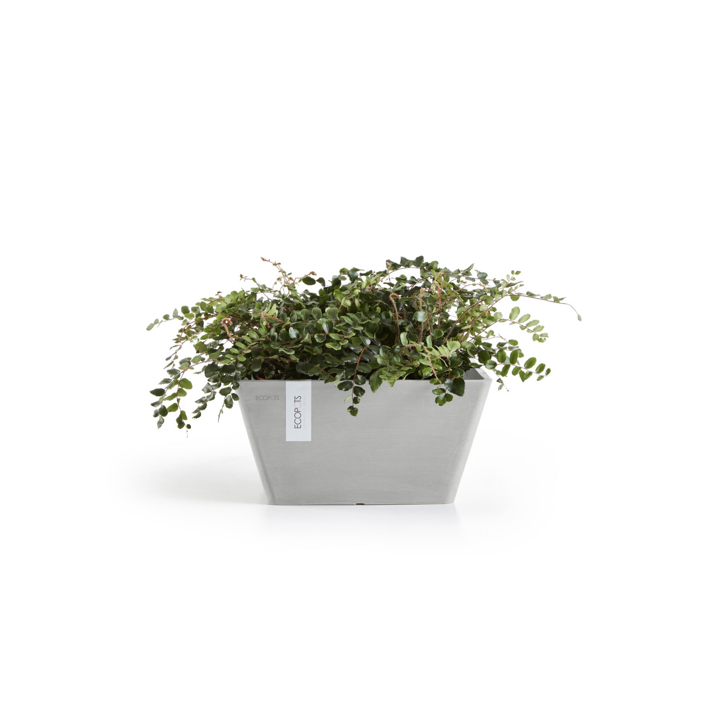 Ruukku Ecopots Berliini 30cm valkoharmaa