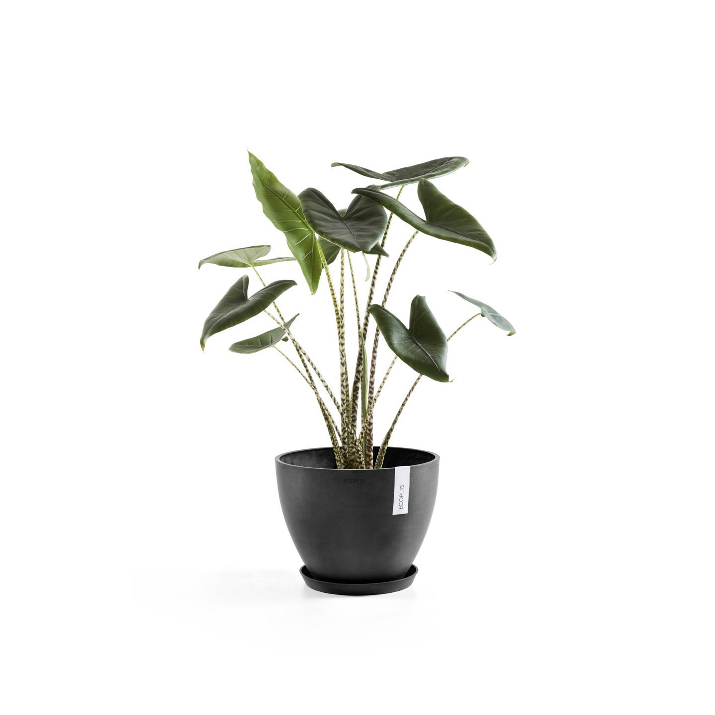 Ruukku Ecopots Antwerpen 40cm tummanharmaa