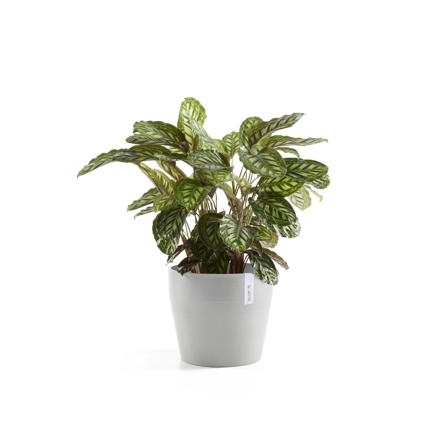 Ruukku Ecopots Sankara 40cm valkoharmaa
