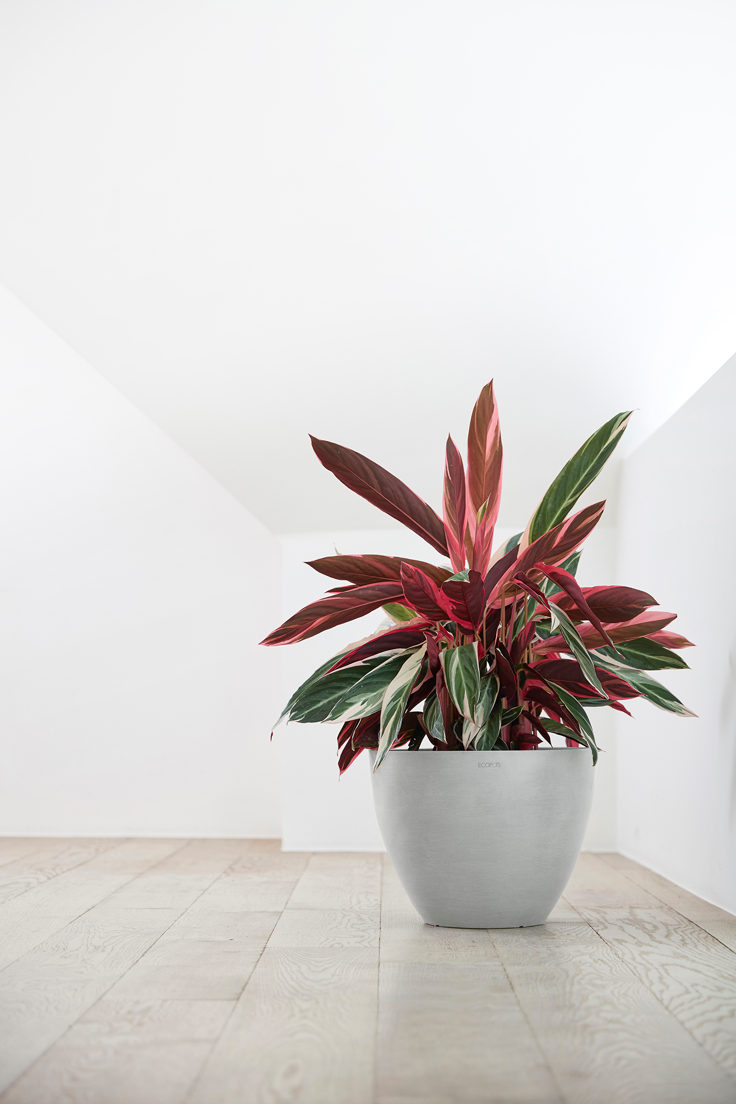 Ruukku Ecopots Antwerpen 40cm valkoharmaa