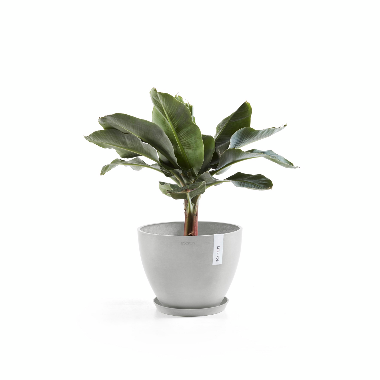Ruukku Ecopots Antwerpen 40cm valkoharmaa