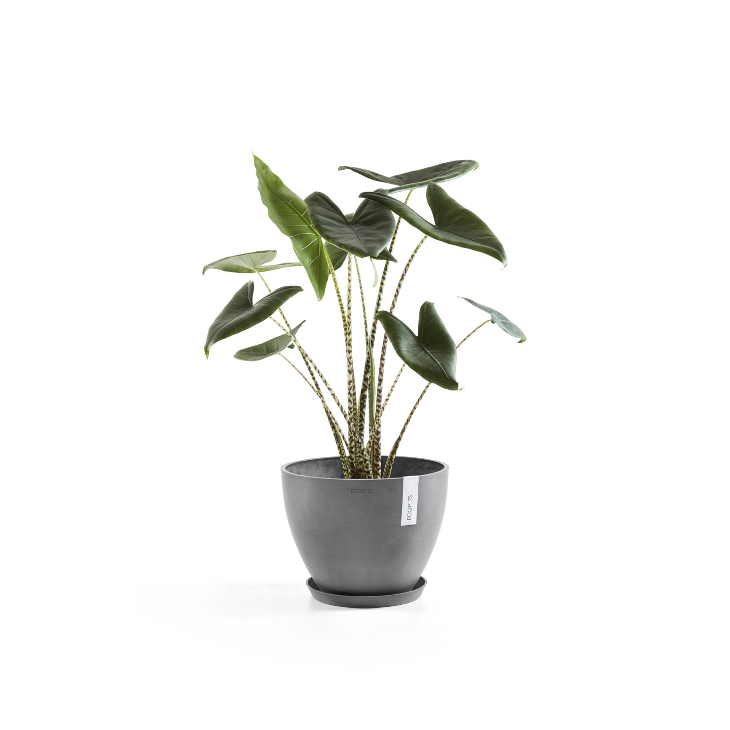 Ruukku Ecopots Antwerpen 40cm harmaa