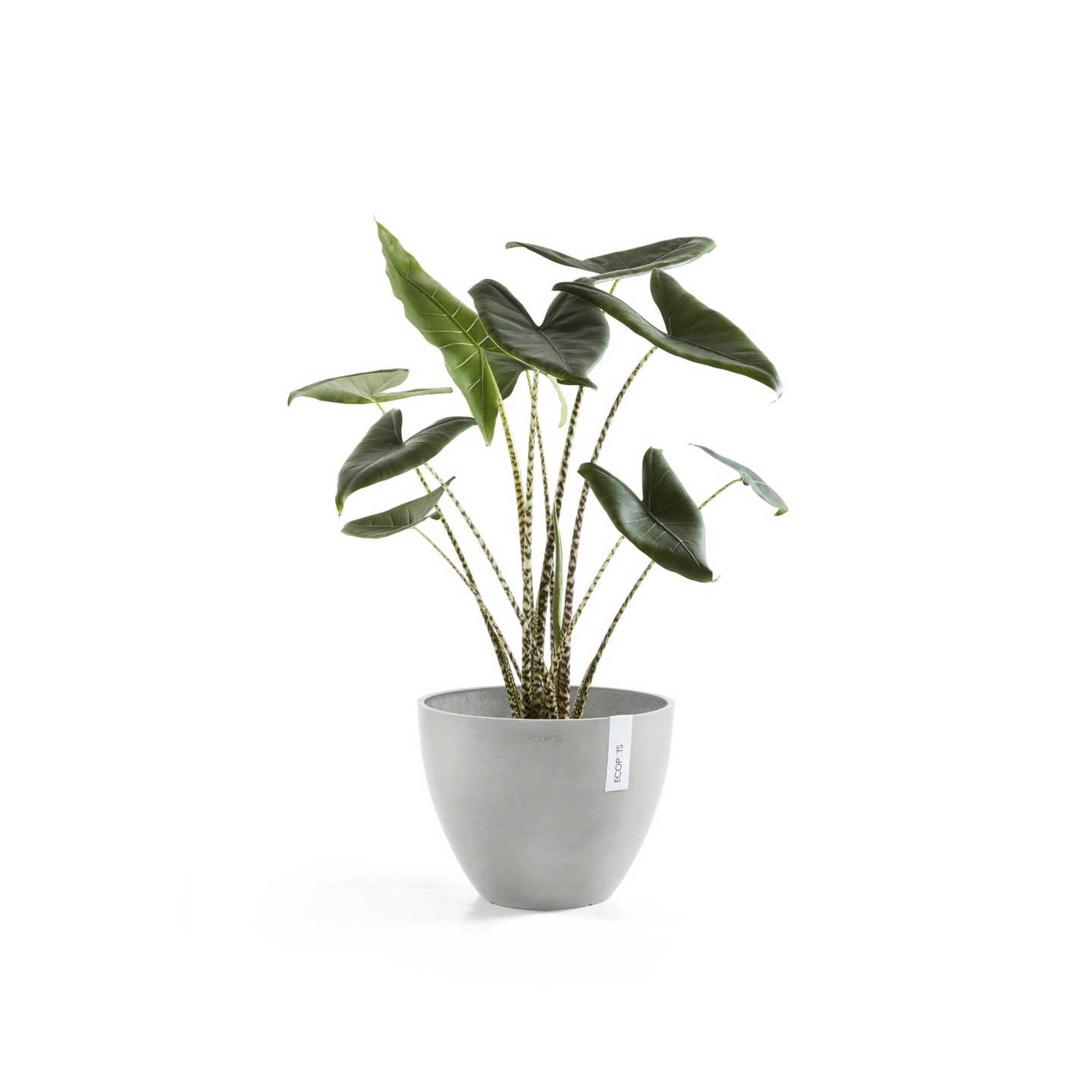 Ruukku Ecopots Antwerpen 40cm valkoharmaa