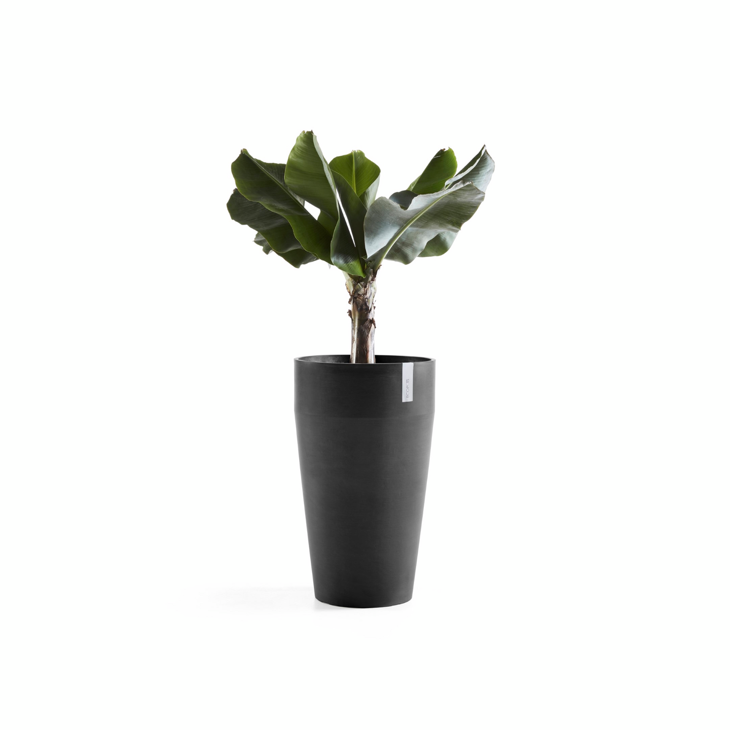 Ruukku Ecopots Sankara korkea 75cm tummanharmaa