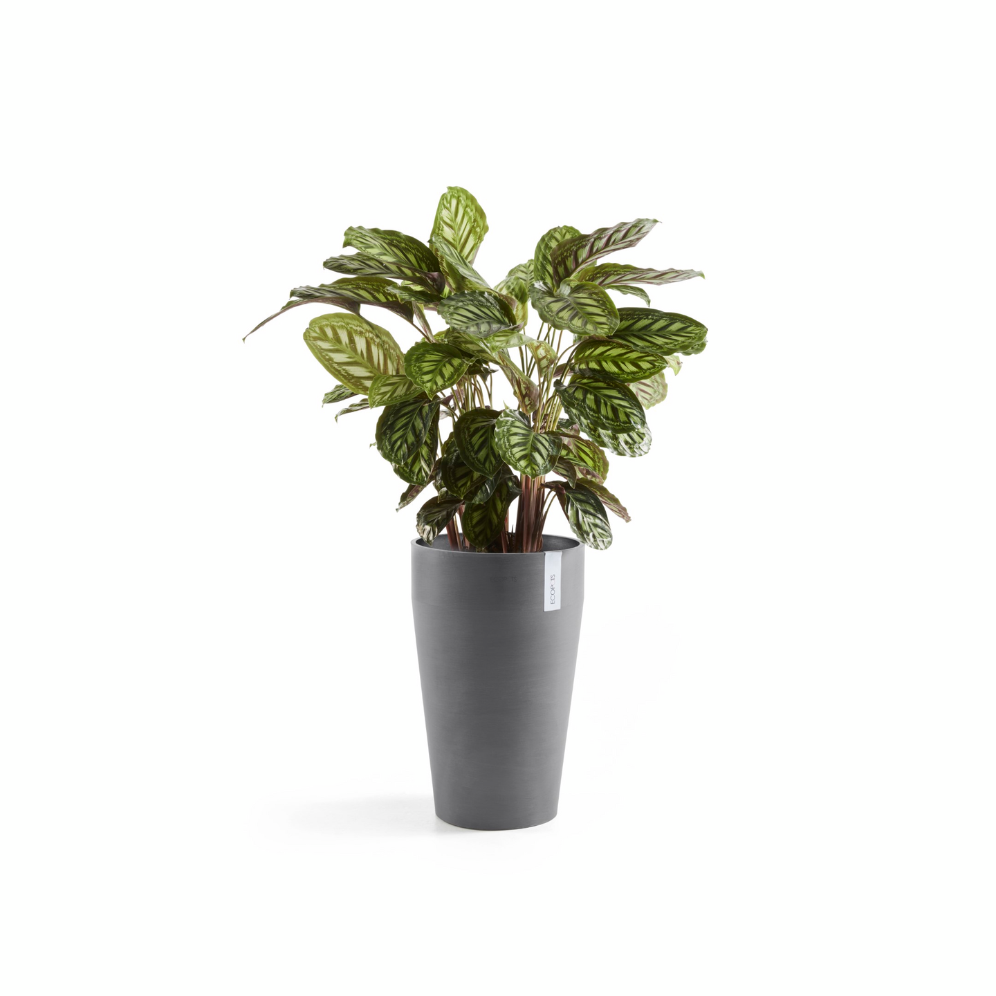 Ruukku Ecopots Sankara keskikorkea 55cm harmaa