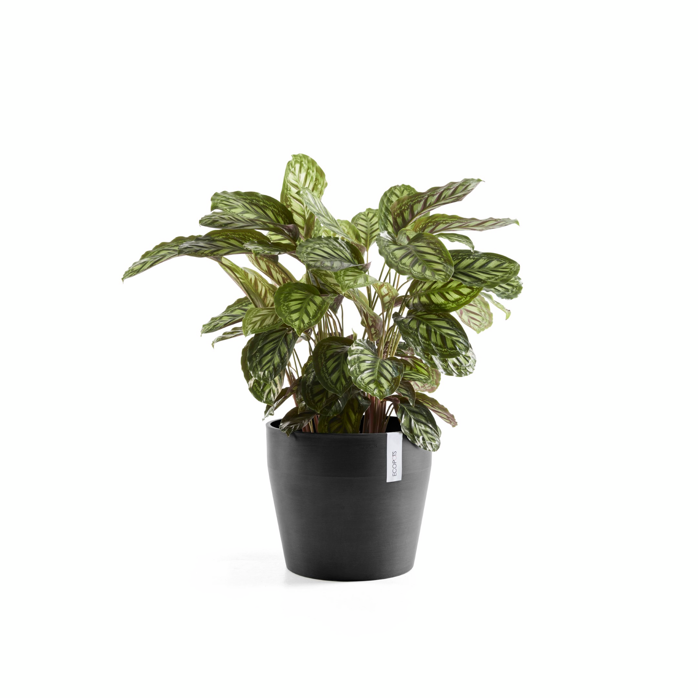 Ruukku Ecopots Sankara 40cm tummanharmaa