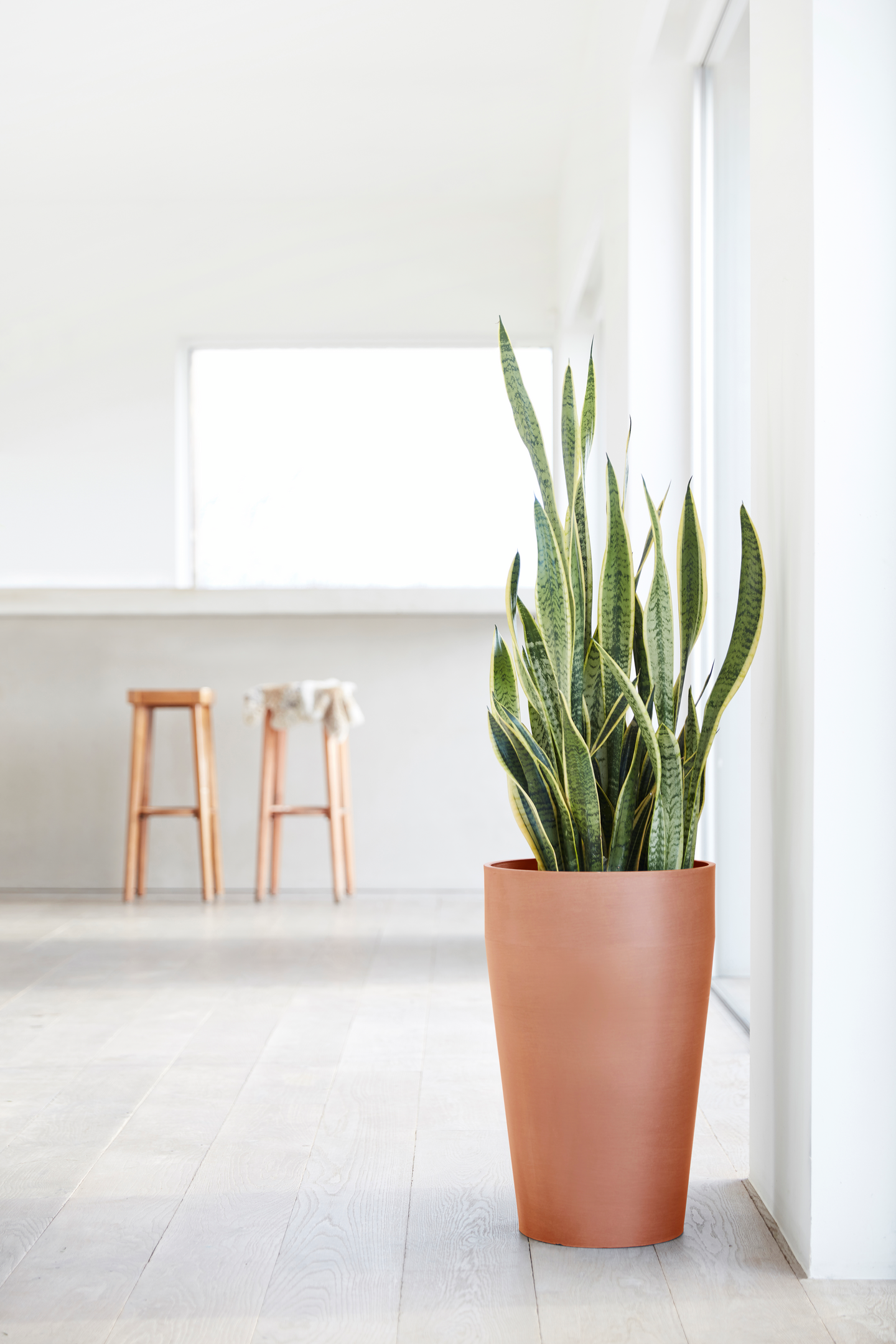 Ruukku Ecopots Sankara keskikorkea 55cm terracotta