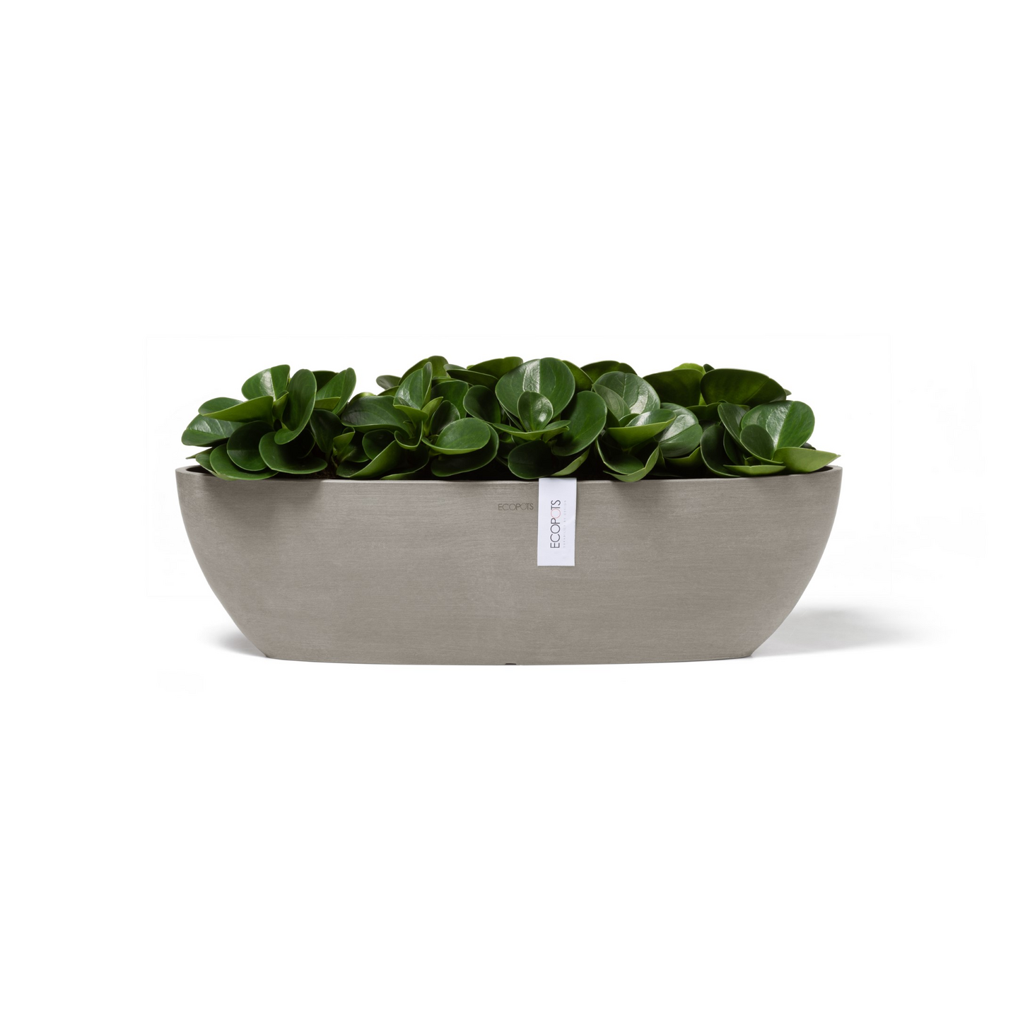 Ruukku Ecopots Sofia pitkä 56cm taupe