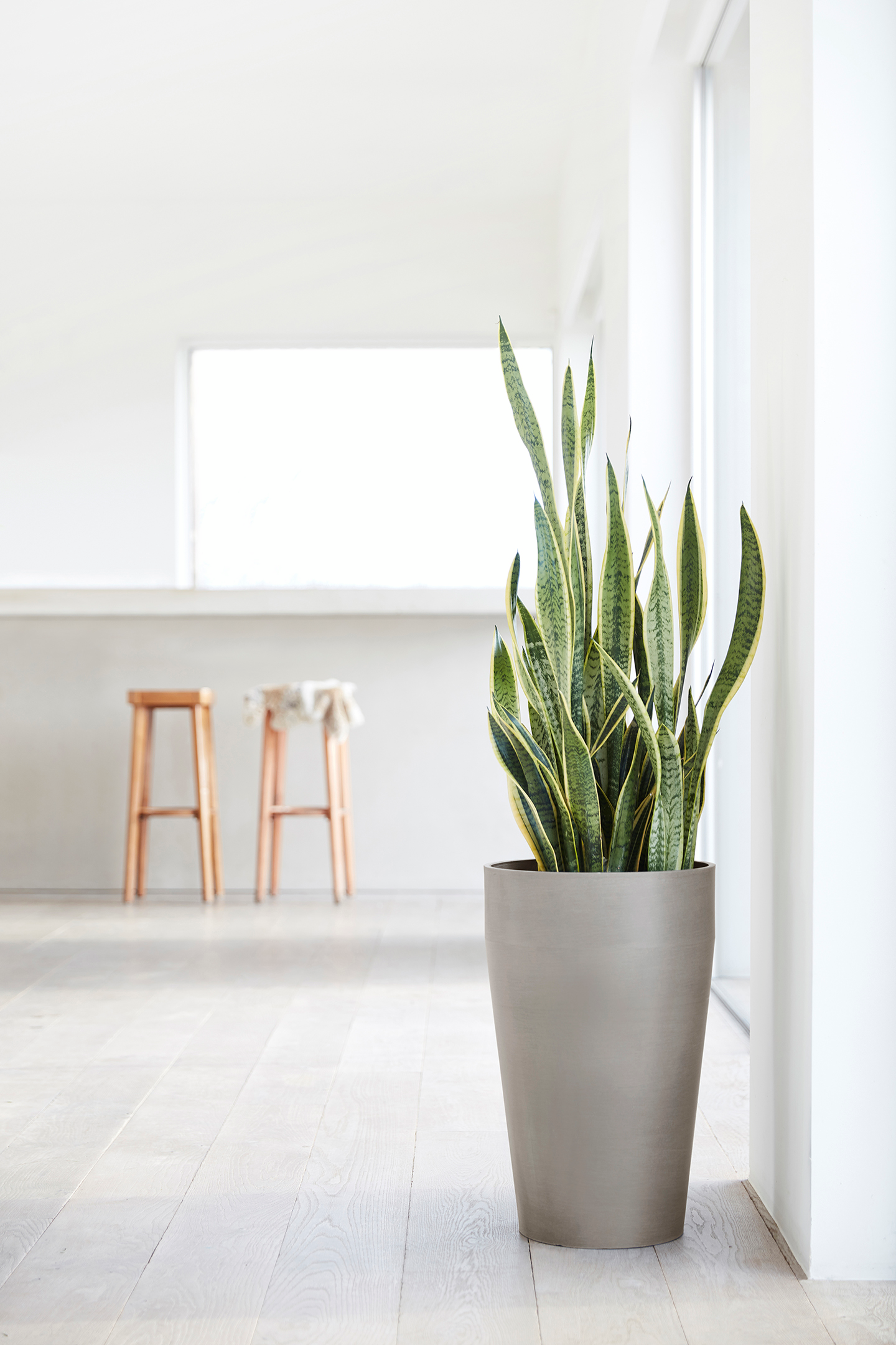 Ruukku Ecopots Sankara korkea 75cm taupe