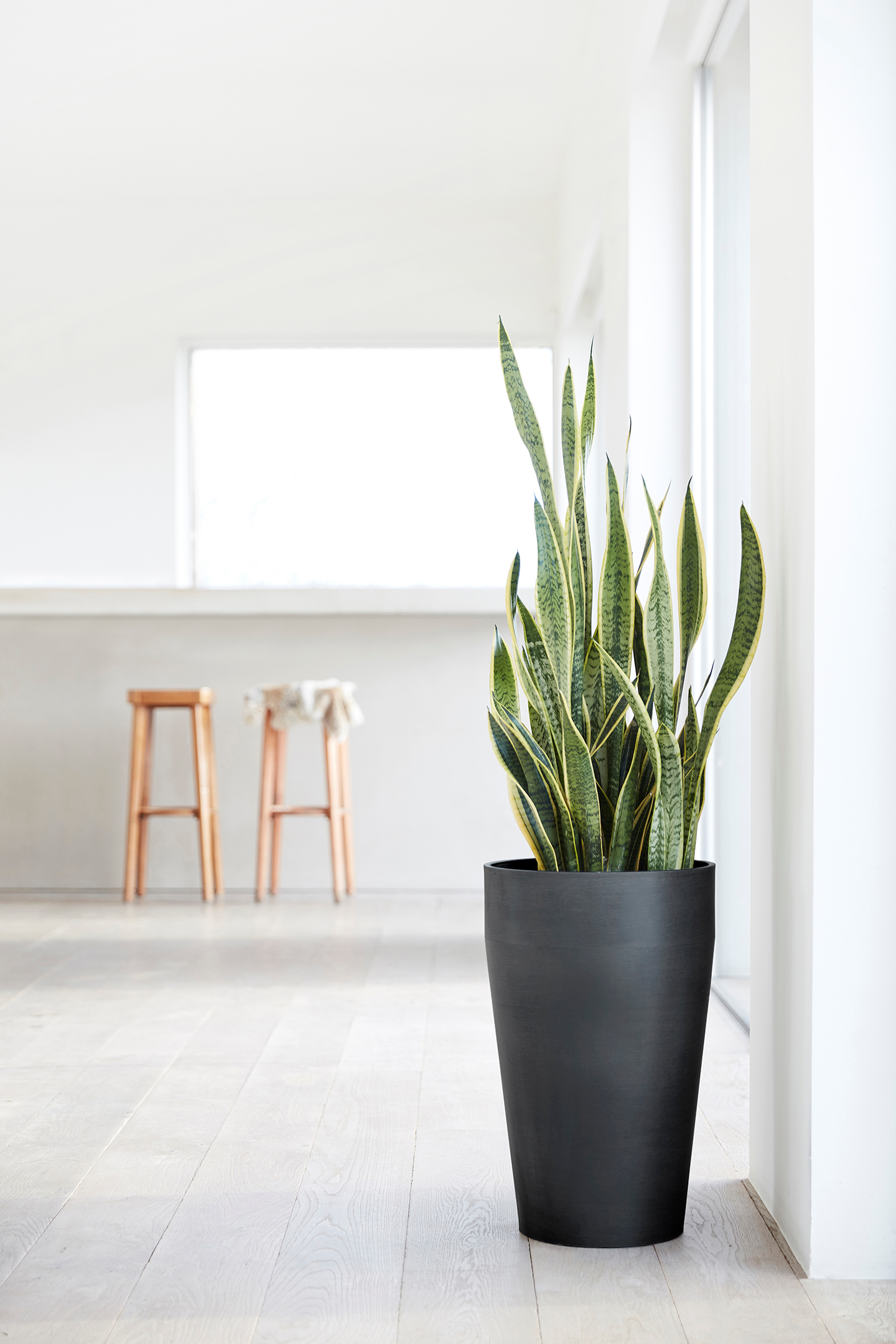 Ruukku Ecopots Sankara korkea 75cm tummanharmaa