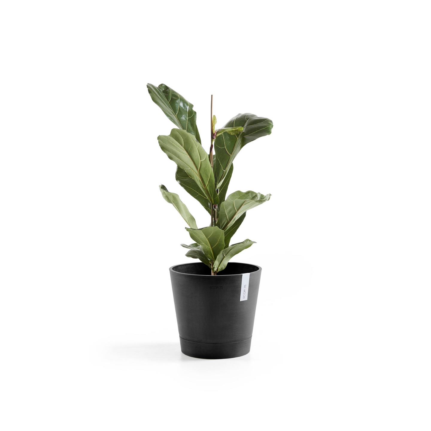 Ruukku Ecopots Venetsia 30cm tummanharmaa