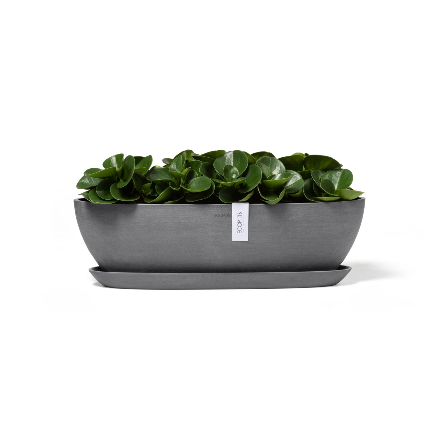 Ruukku Ecopots Sofia pitkä 56cm harmaa