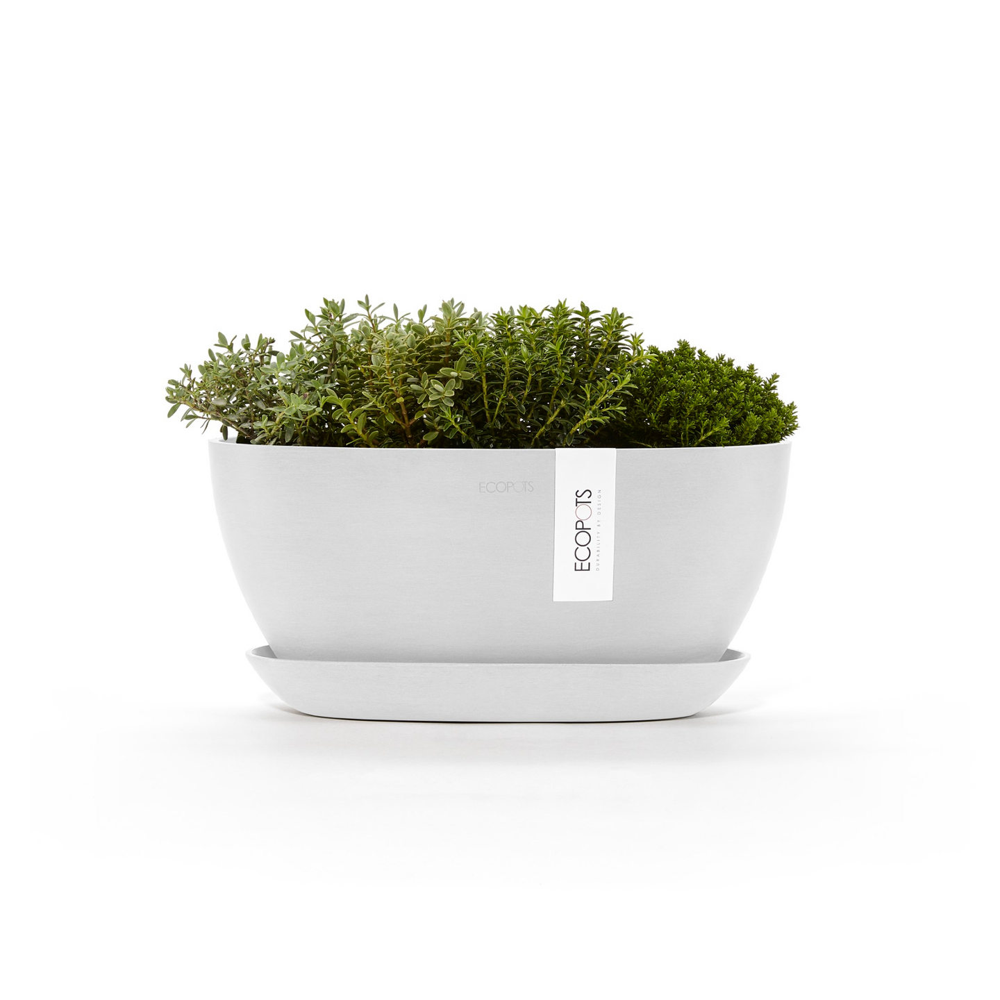 Ruukku + Aluslautanen Ecopots Sofia 30cm valkoinen
