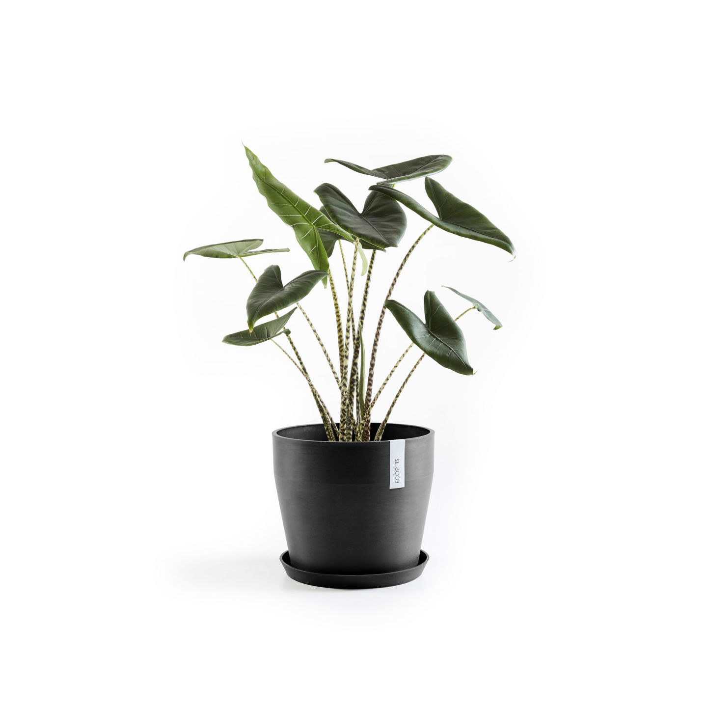 Ruukku Ecopots Sankara 40cm tummanharmaa
