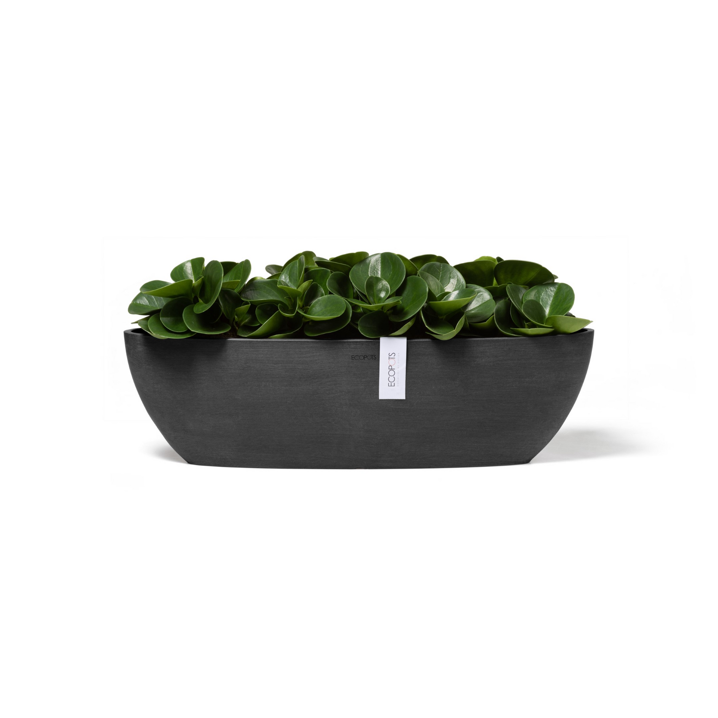 Ruukku Ecopots Sofia pitkä 56cm tummanharmaa