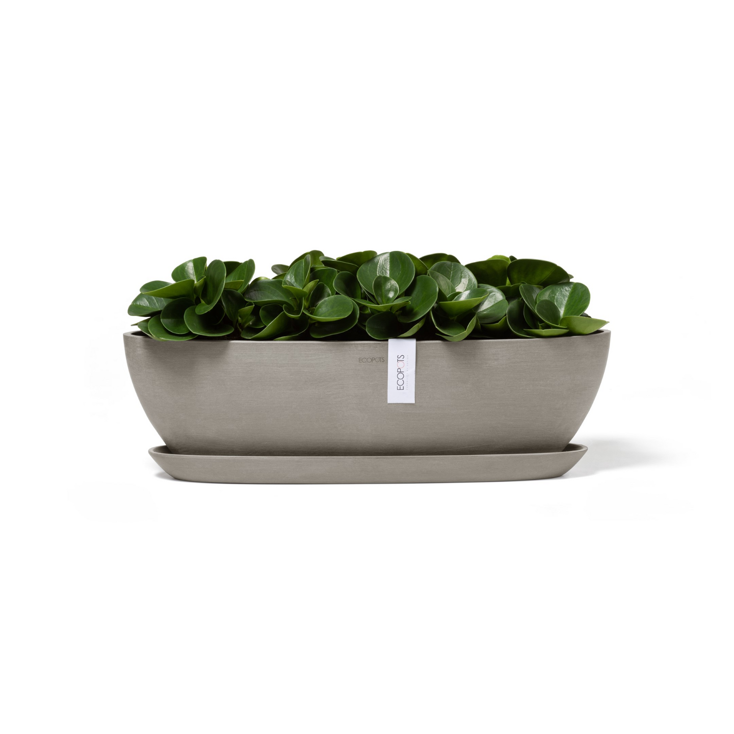 Ruukku Ecopots Sofia pitkä 56cm taupe