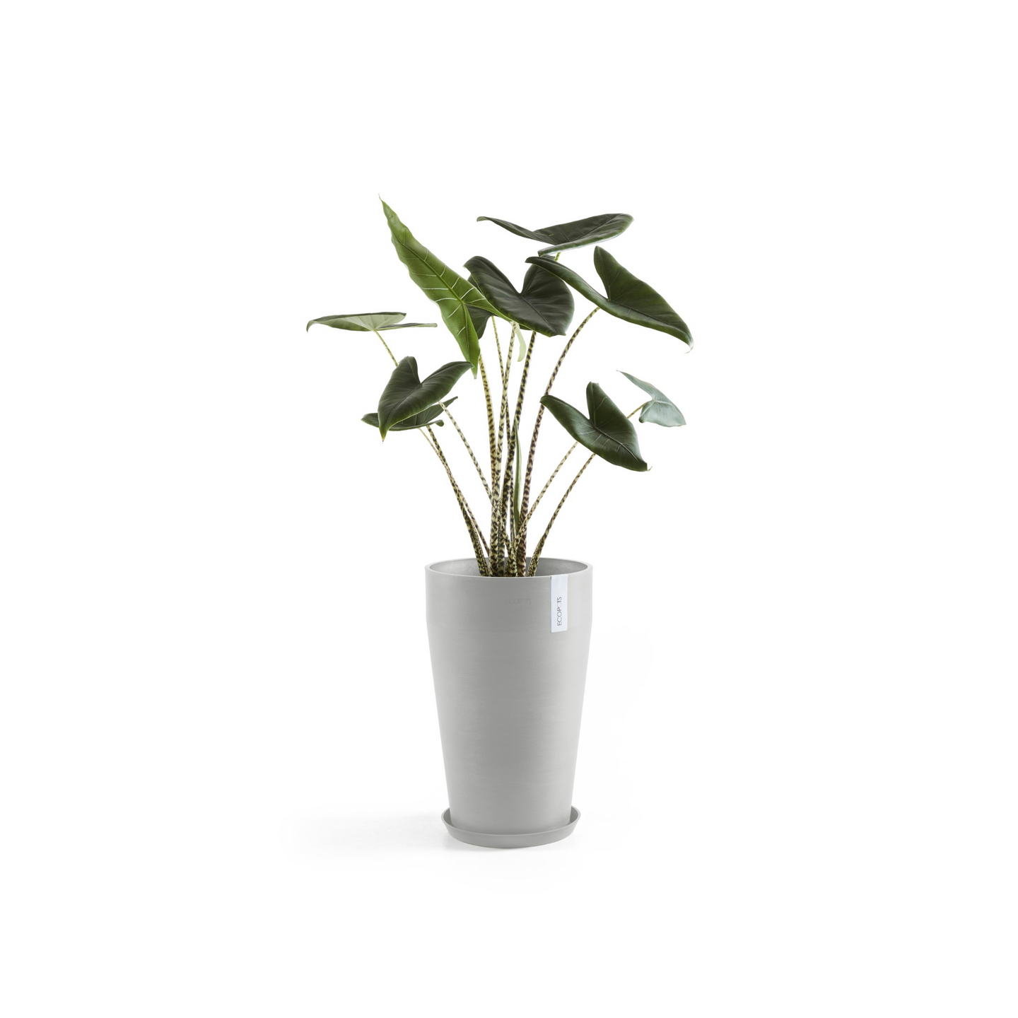 Ruukku Ecopots Sankara keskikorkea 55cm valkoharmaa