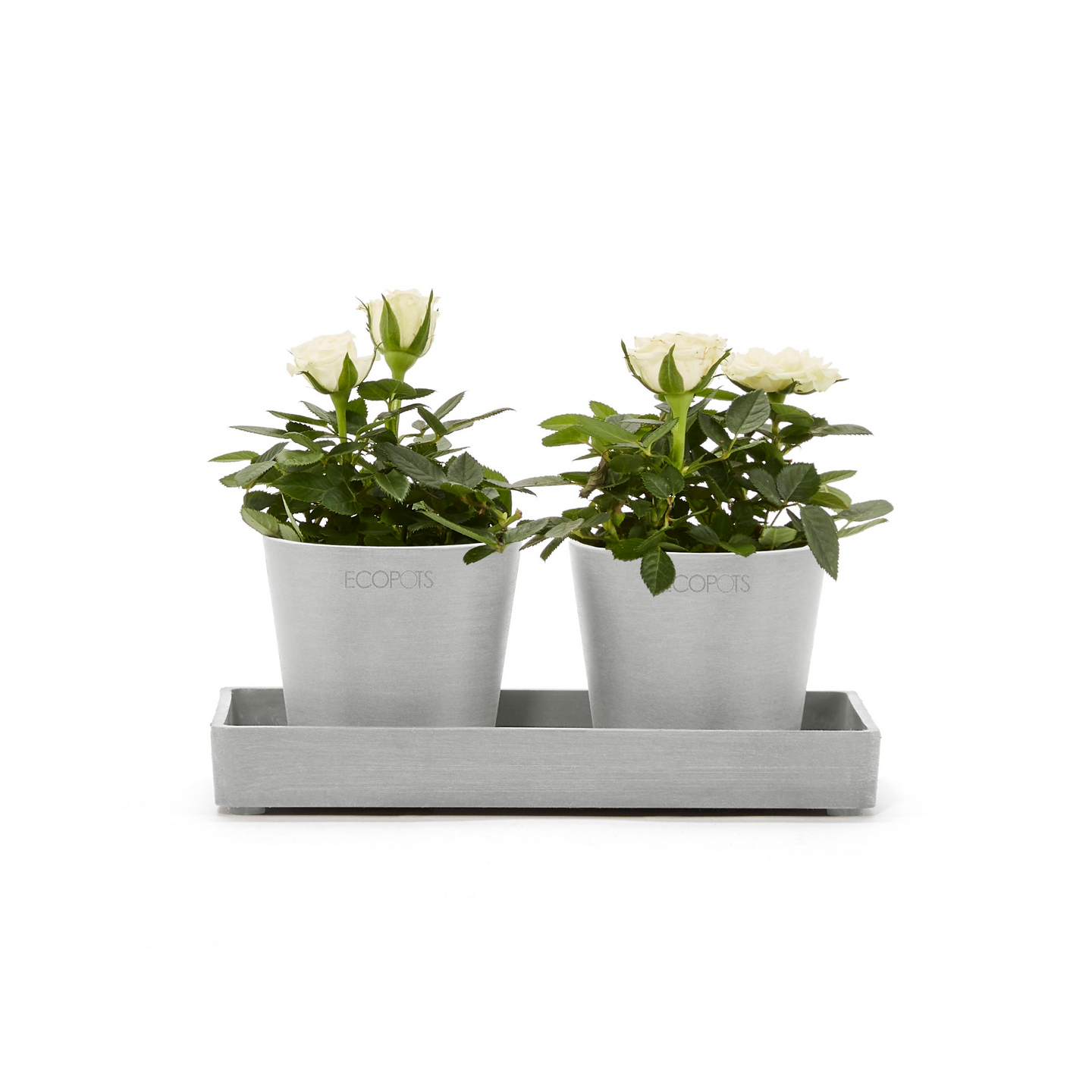 Esillepanotarjotin Ecopots 20cm valkoharmaa