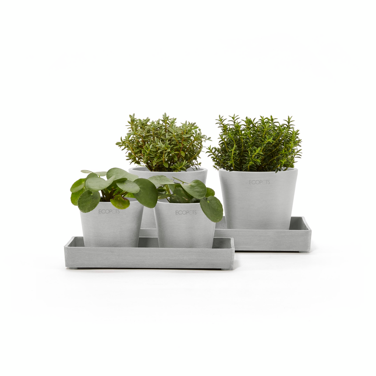 Esillepanotarjotin Ecopots 20cm valkoharmaa