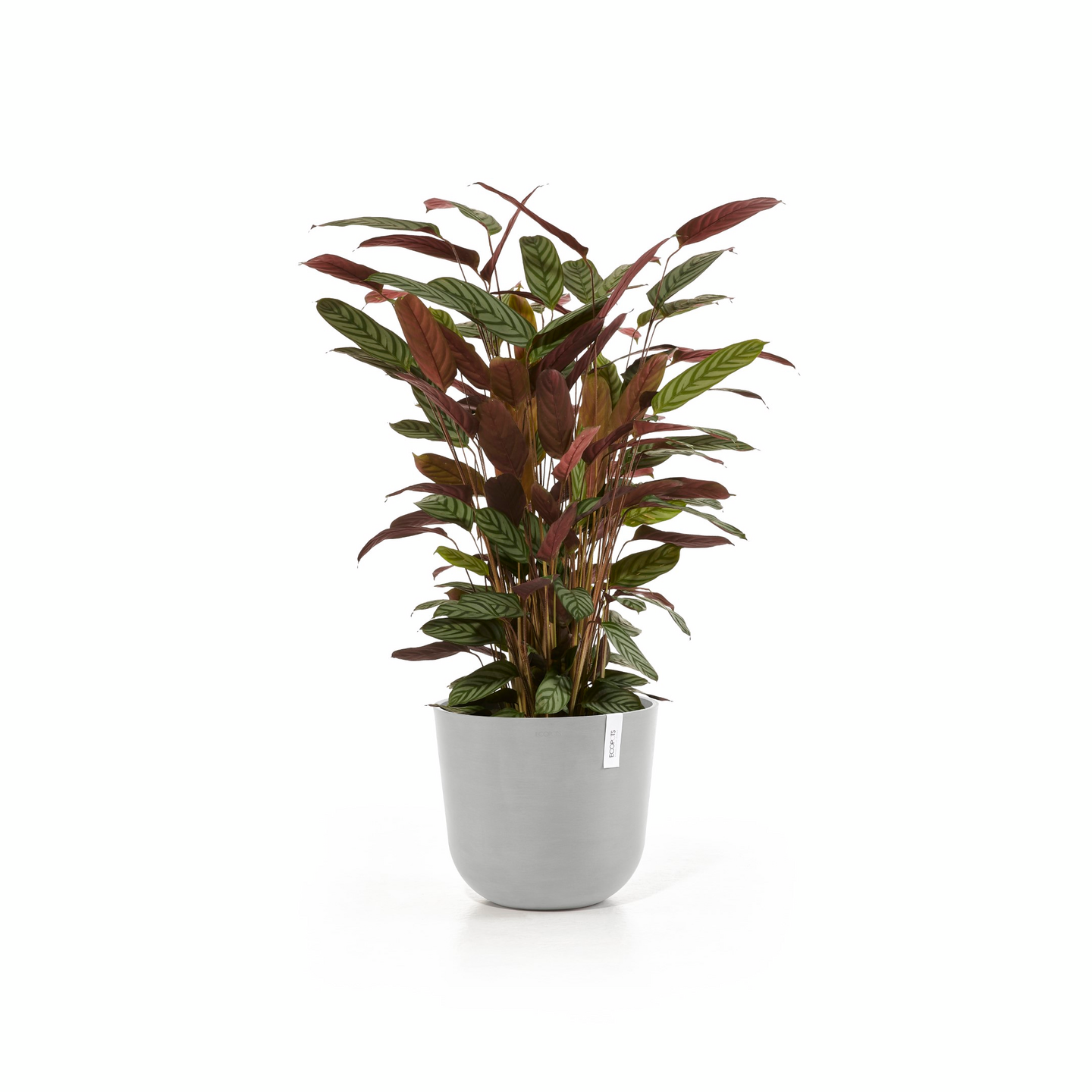 Ruukku Ecopots Oslo 35cm valkoharmaa