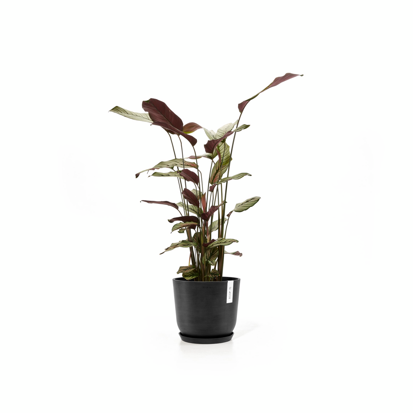 Ruukku Ecopots Oslo 25cm tummanharmaa