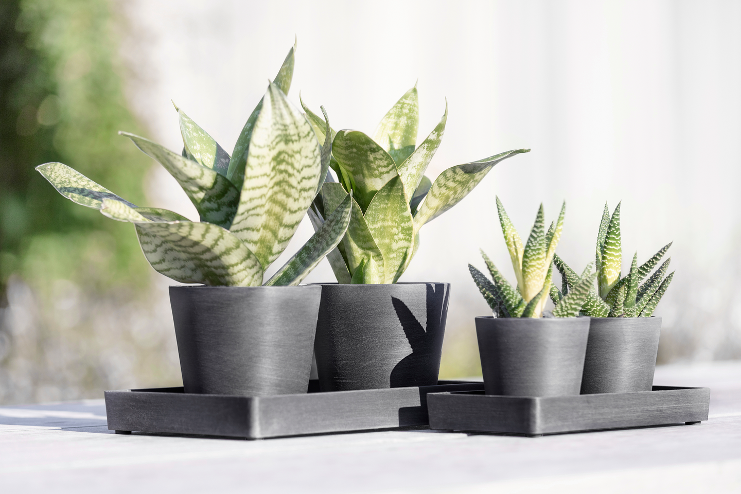 Esillepanotarjotin Ecopots 20cm harmaa