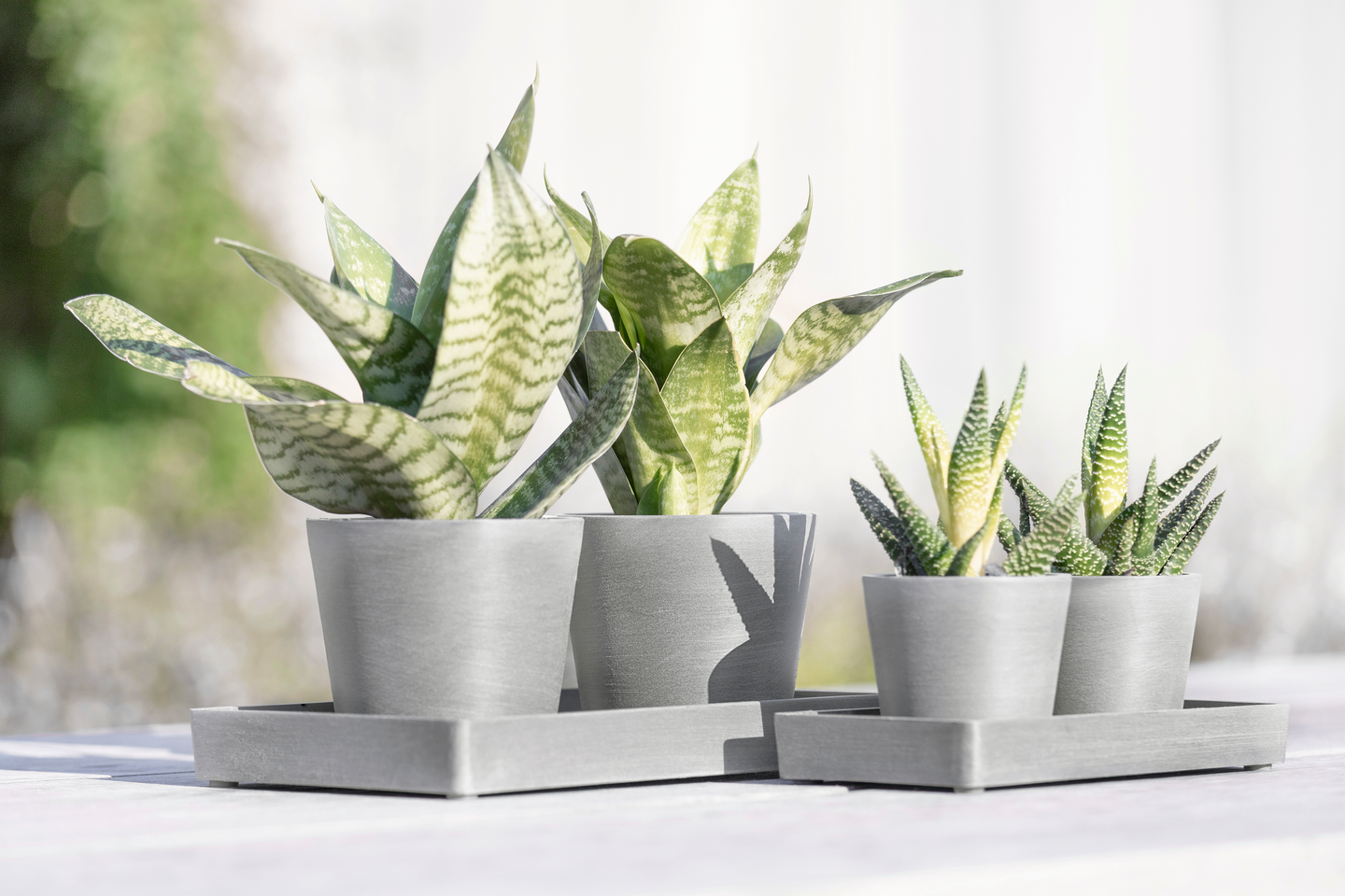 Esillepanotarjotin Ecopots 20cm valkoharmaa