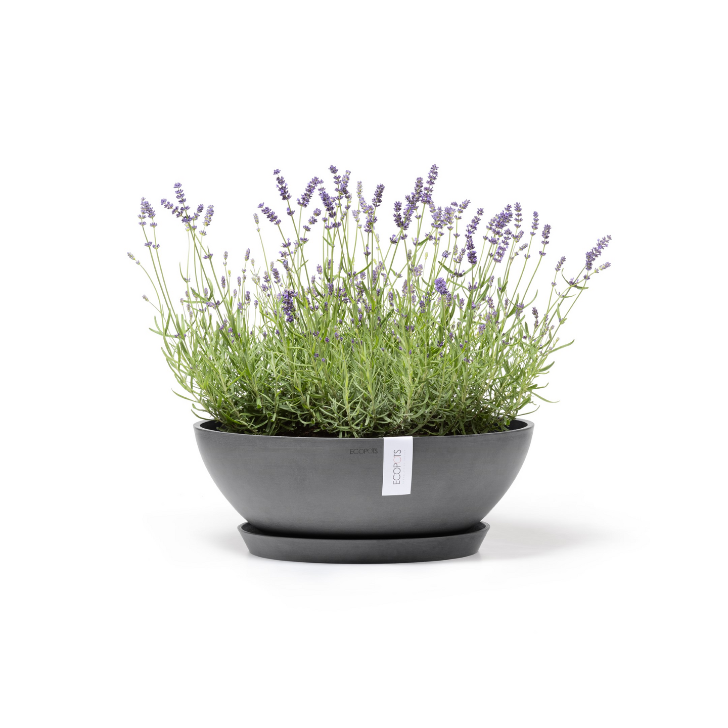 Ruukku Ecopots Vienna 50cm harmaa