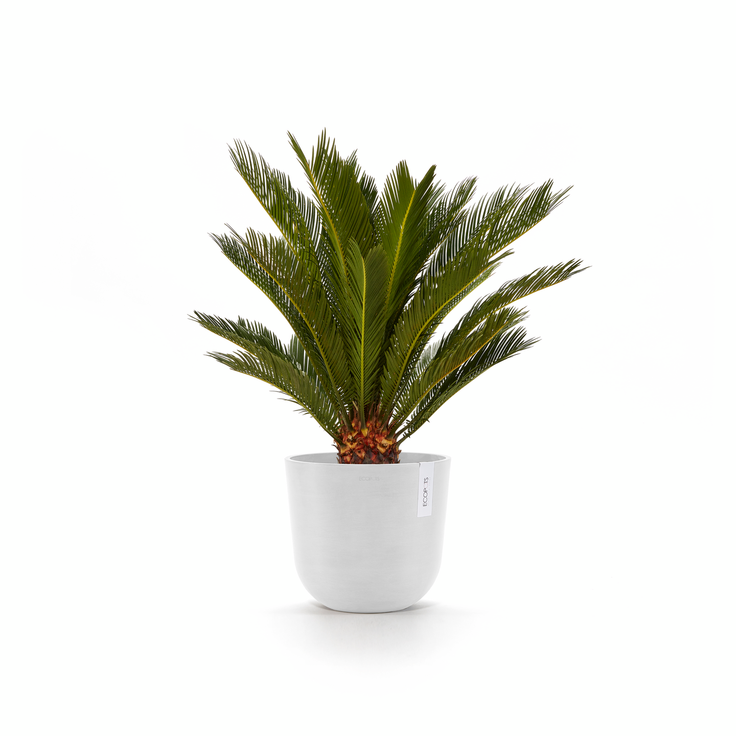 Ruukku Ecopots Oslo 25cm valkoinen
