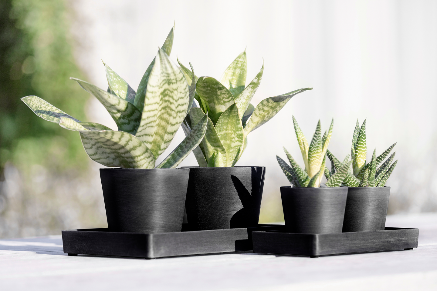 Esillepanotarjotin Ecopots 20cm tummanharmaa