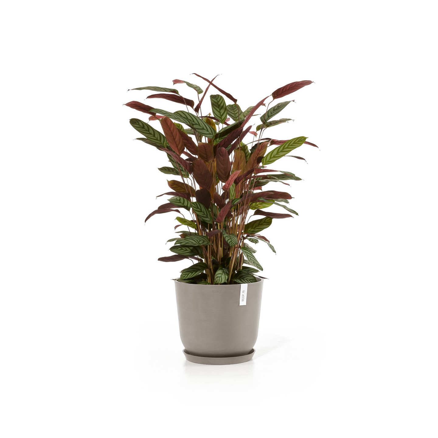 Ruukku Ecopots Oslo 35cm taupe