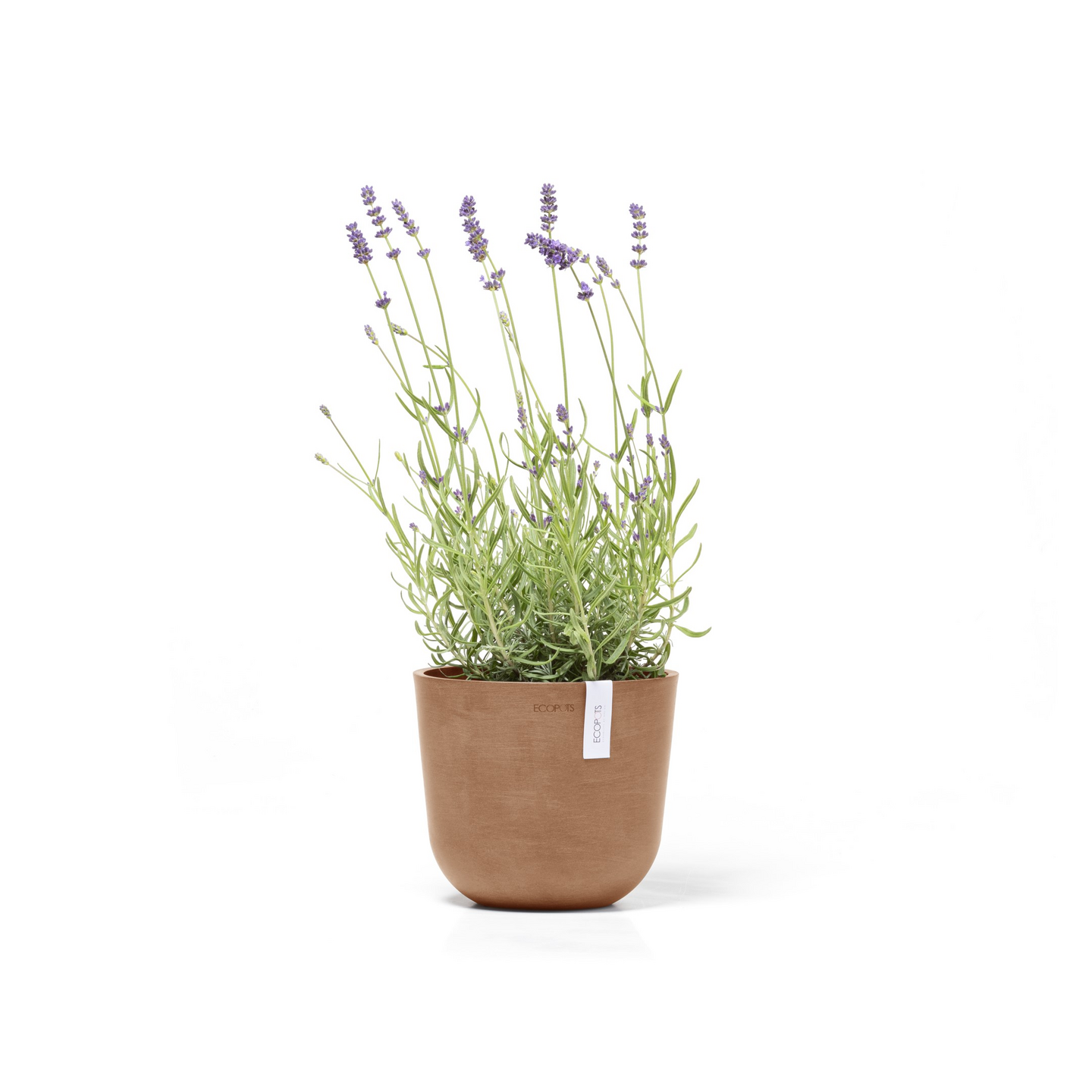 Ruukku Ecopots Oslo mini 19cm terracotta