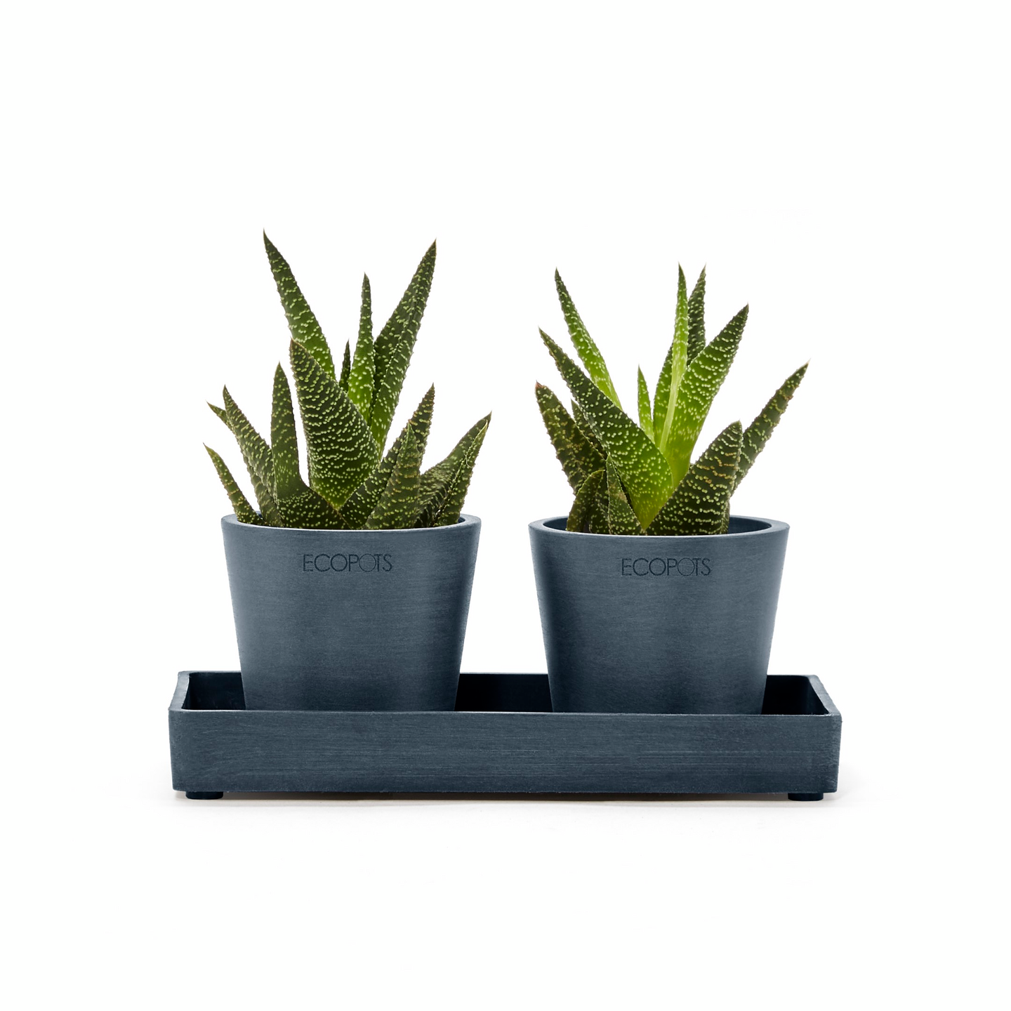 Esillepanotarjotin Ecopots 20cm tummansininen