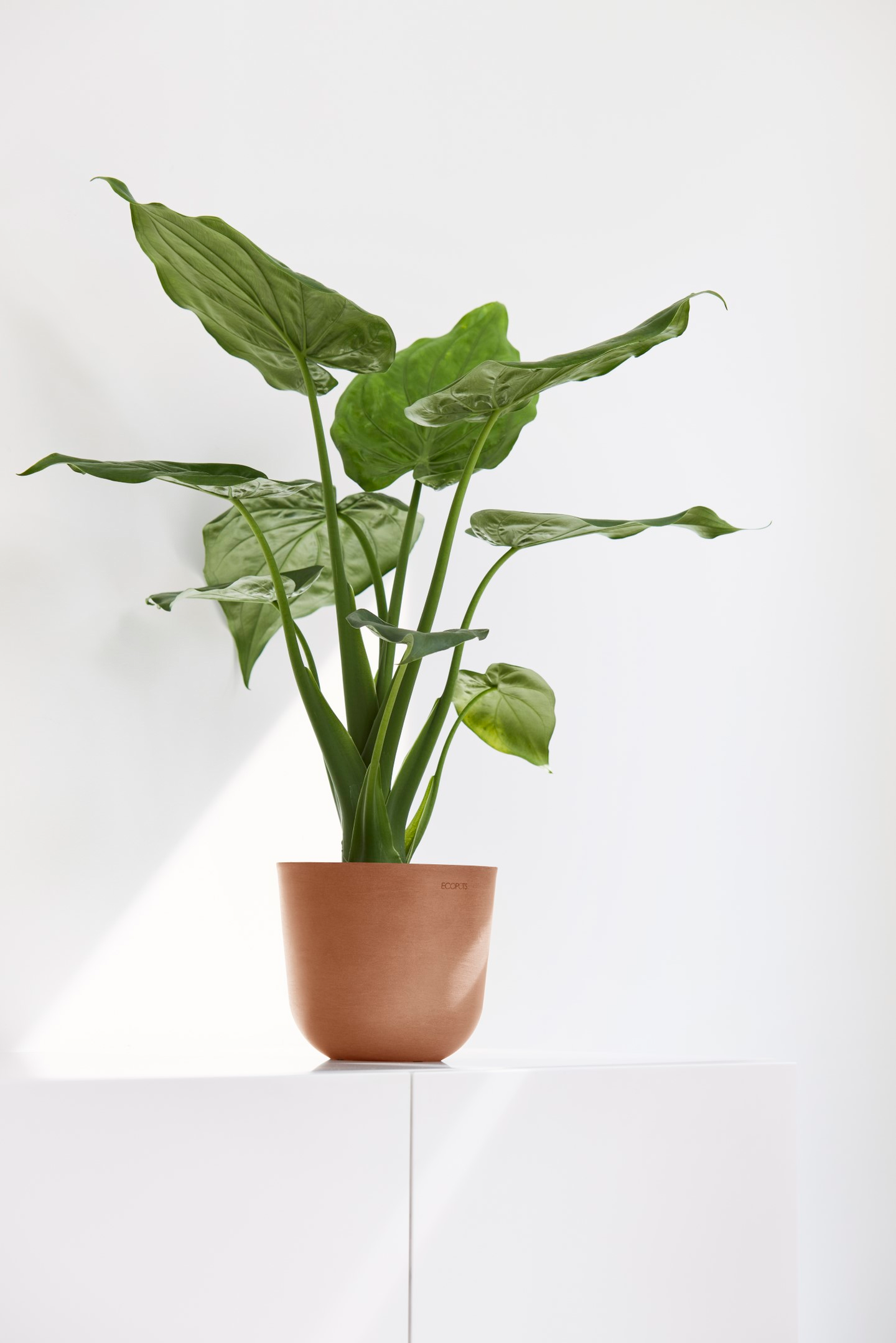 Ruukku Ecopots Oslo mini 16cm terracotta