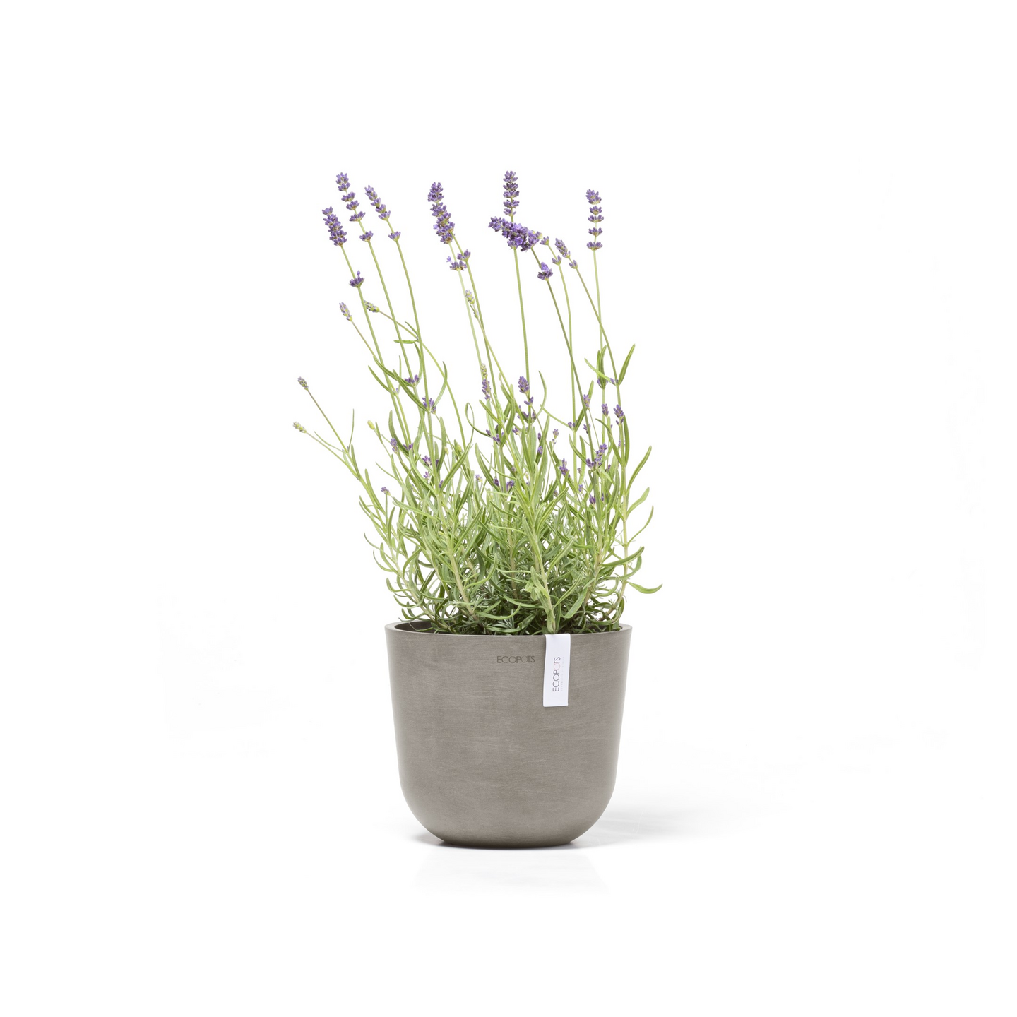 Ruukku Ecopots Oslo mini 19cm taupe